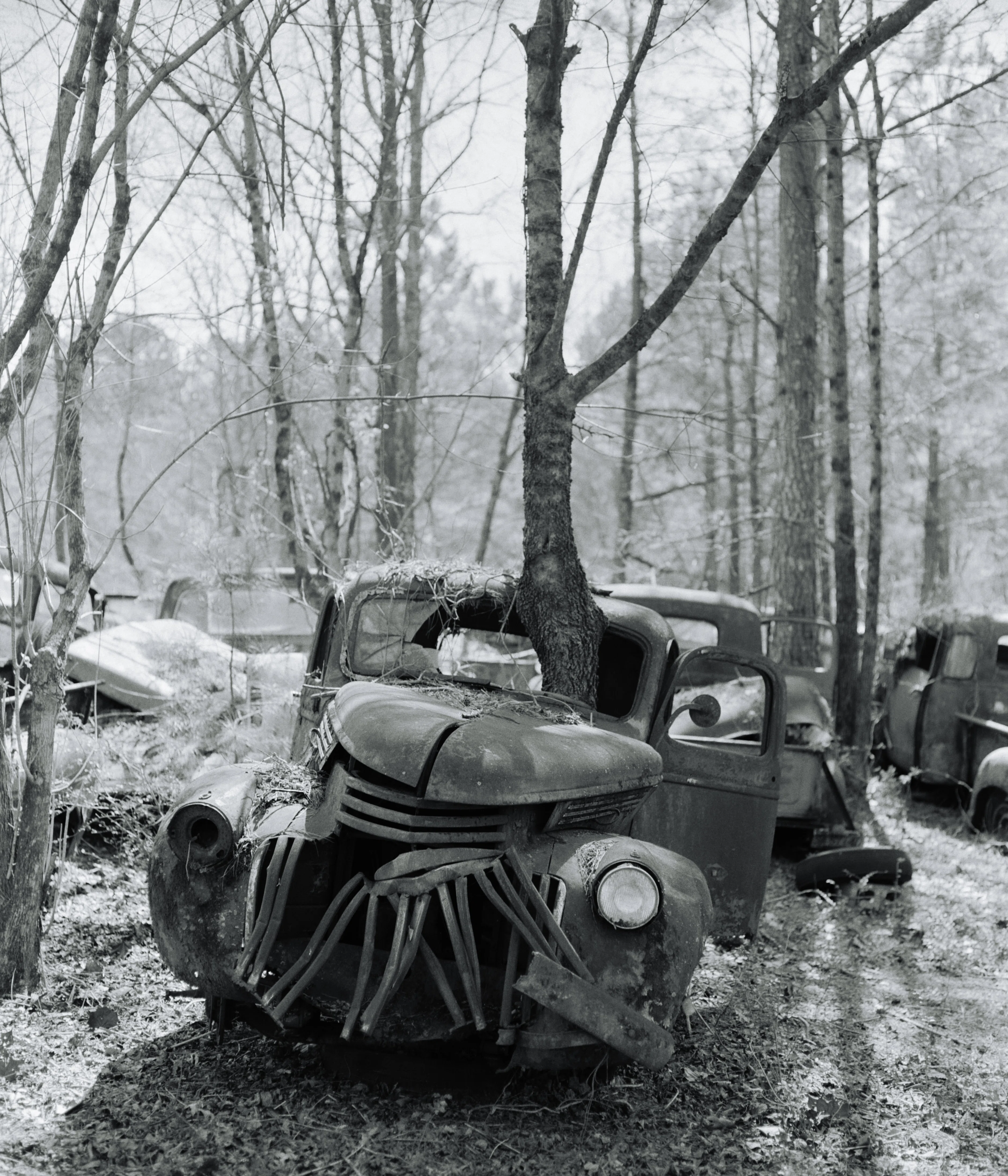 最近リーズブルになった？KODAK Tri-Xで「OLD CAR CITY」を撮ってみた