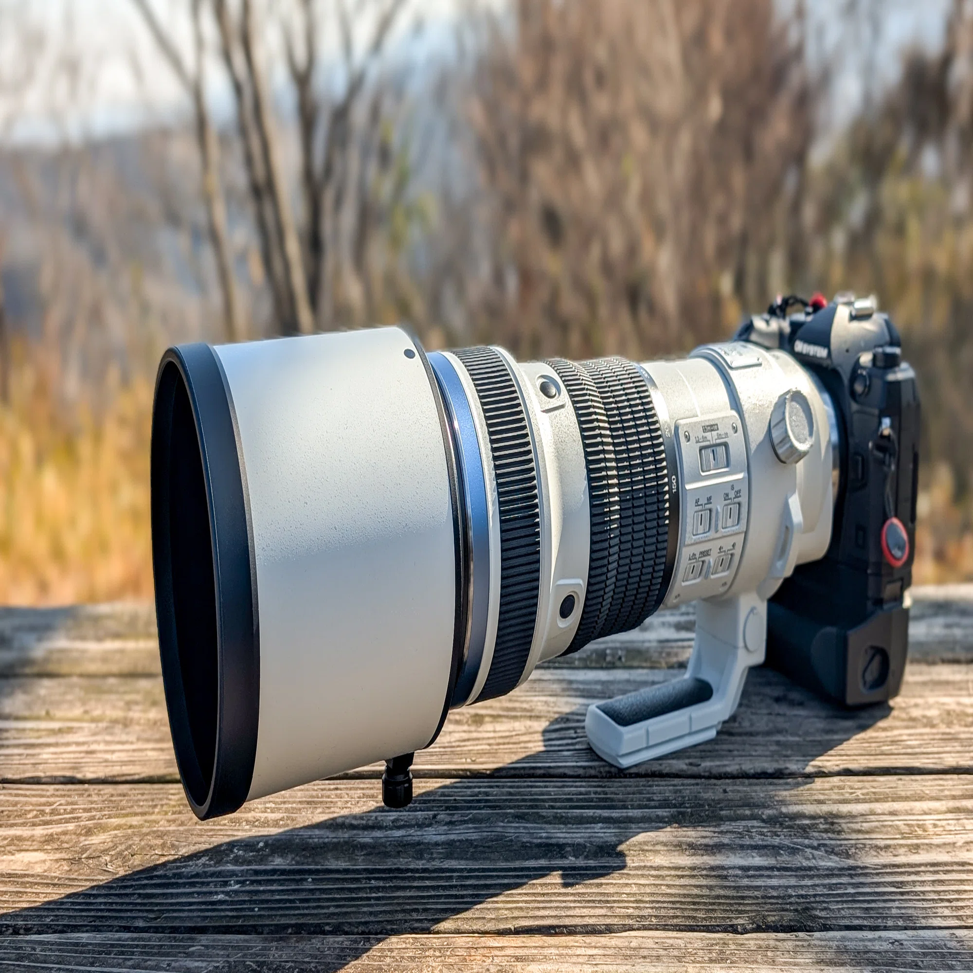 これはチートレンズだ！！ M.ZUIKO DIGITAL ED 150-400mm F4.5 TC1.25x 