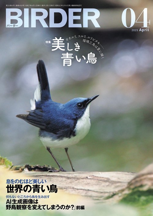 BIRDER (バーダー) 2024年 08月号 [雑誌] | BIRDER編集部 | 趣味