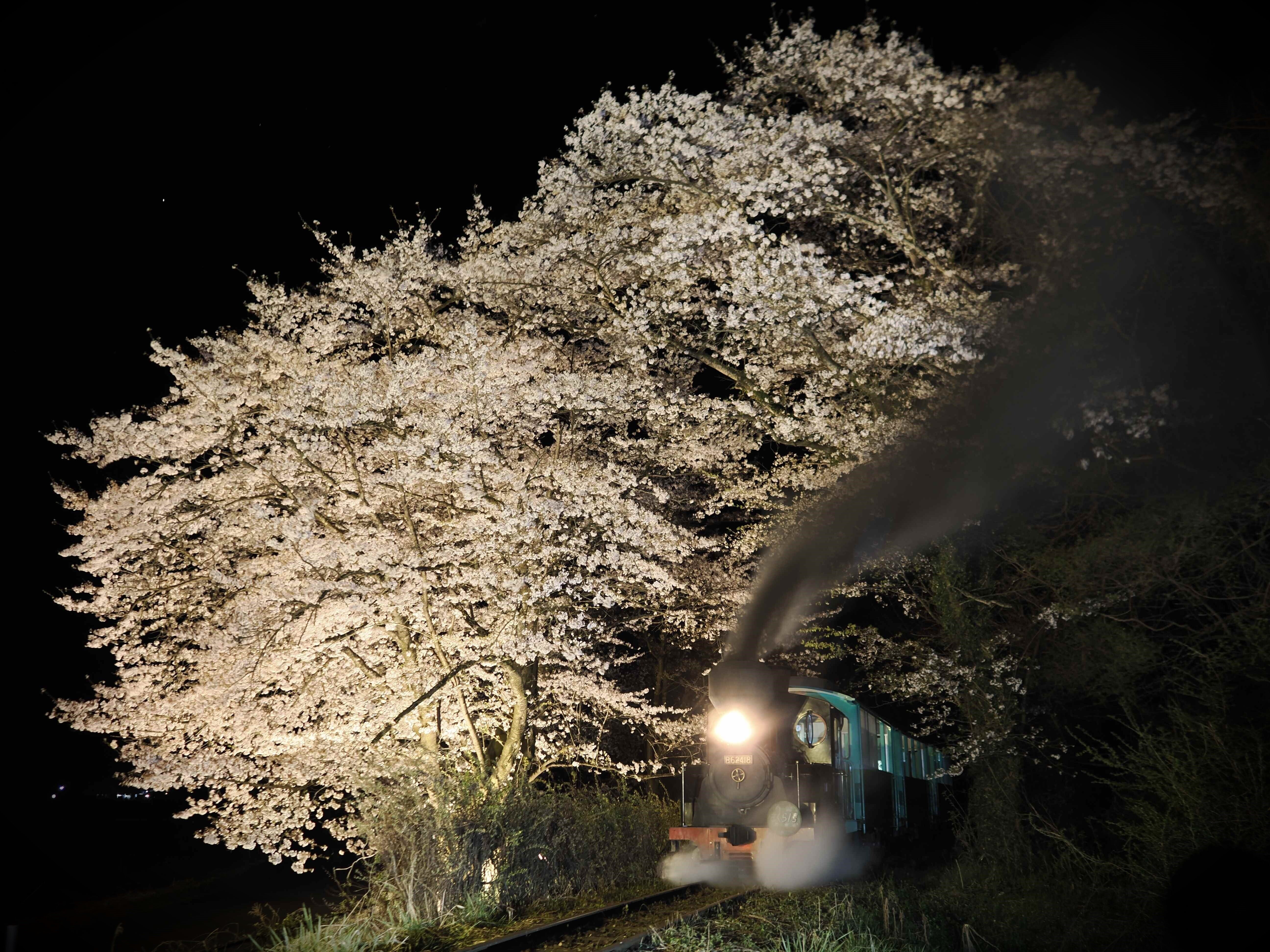 福島】2025年4月13日 鉄道フォトライフクリエーター神谷武志 夜桜＋SL