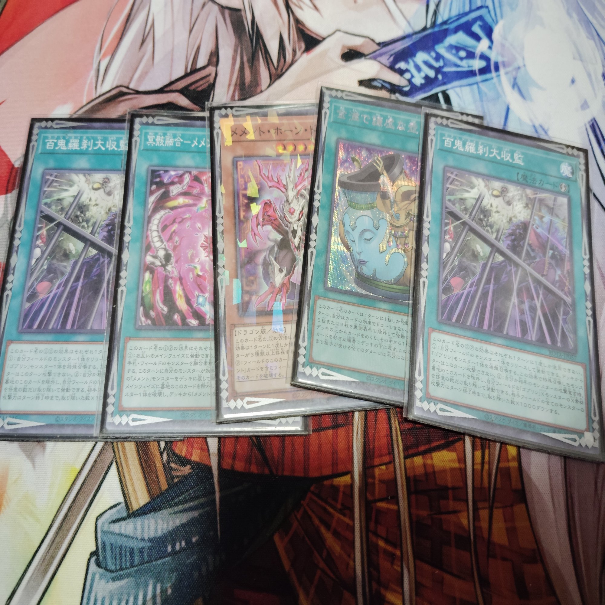 宇都宮遠征レポ｜Pina