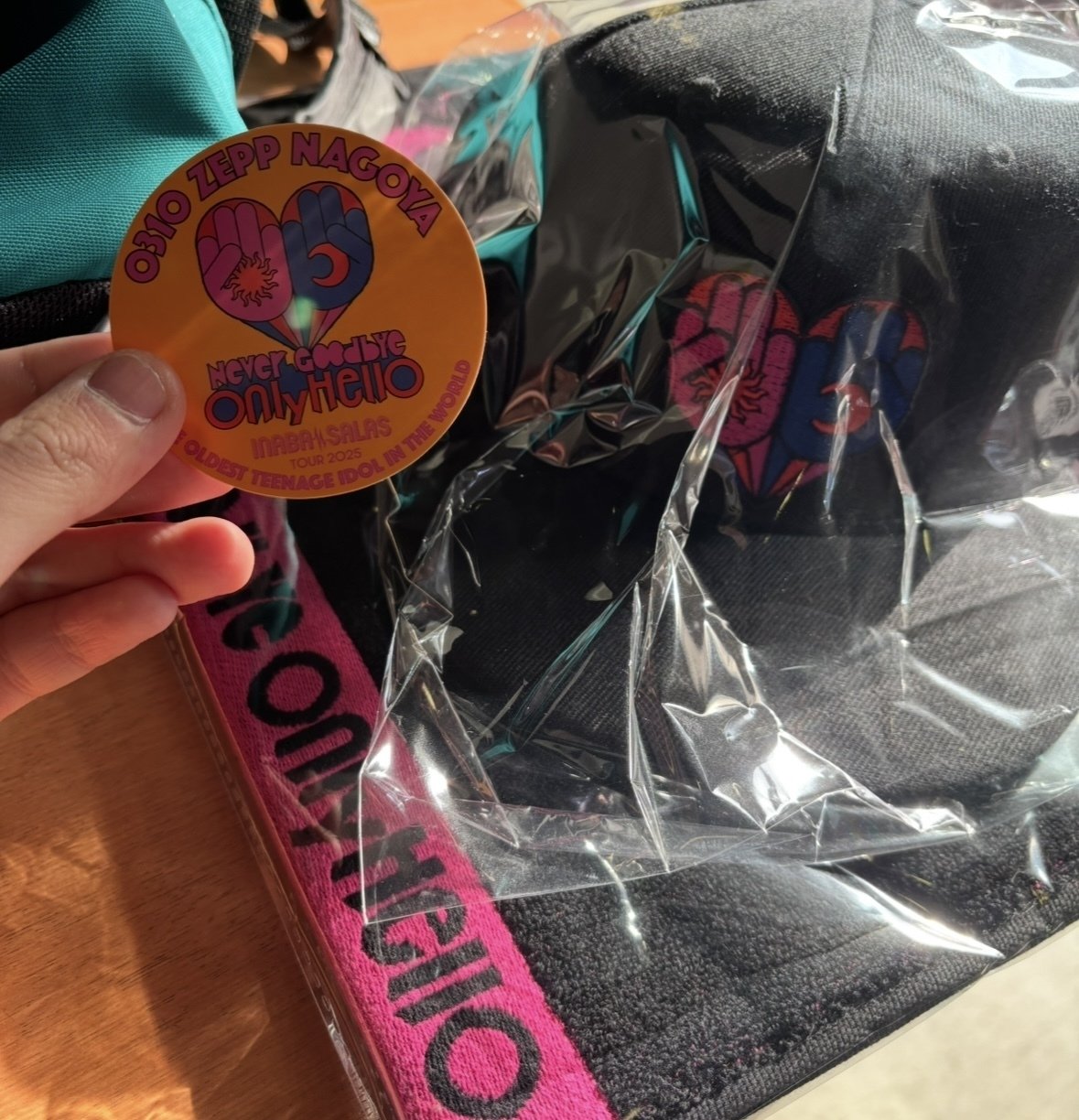 INABA／SALAS TOUR 2025 -Never Goodbye Only Hello- Zepp