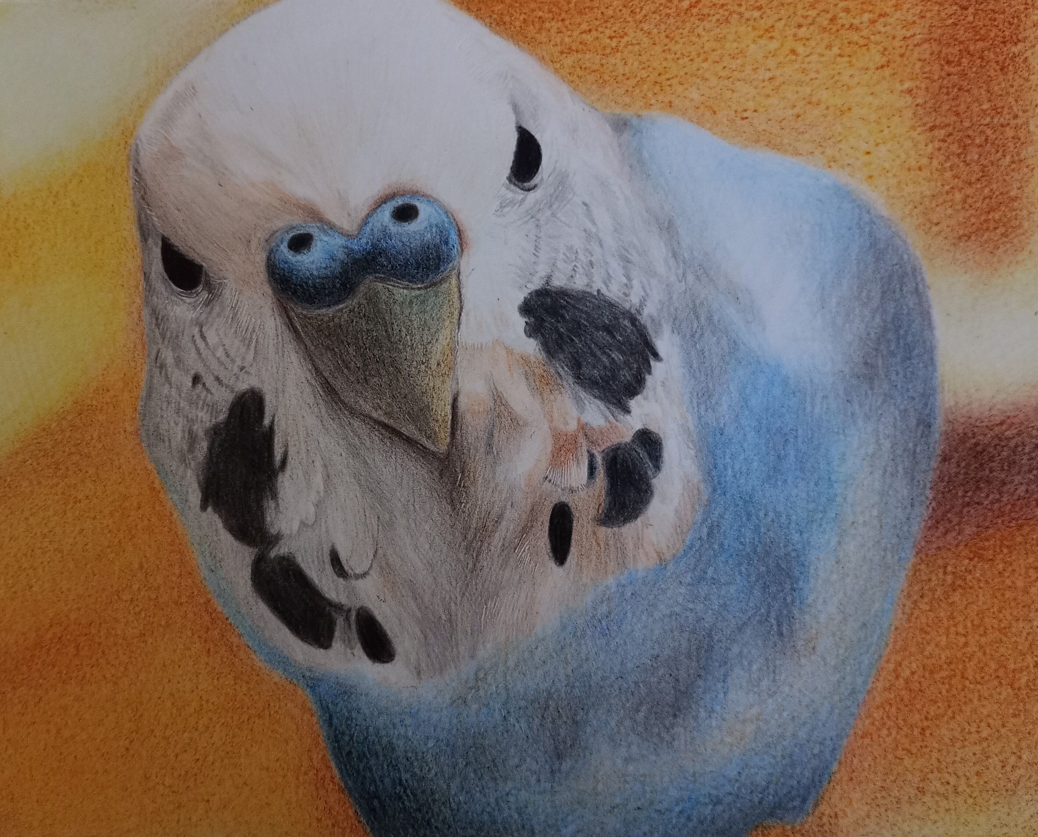 色鉛筆画　ぷりんページ 色鉛筆の混色ポイント☝️☺️ 馴染ませる…感じデス✍️ 馴染ま