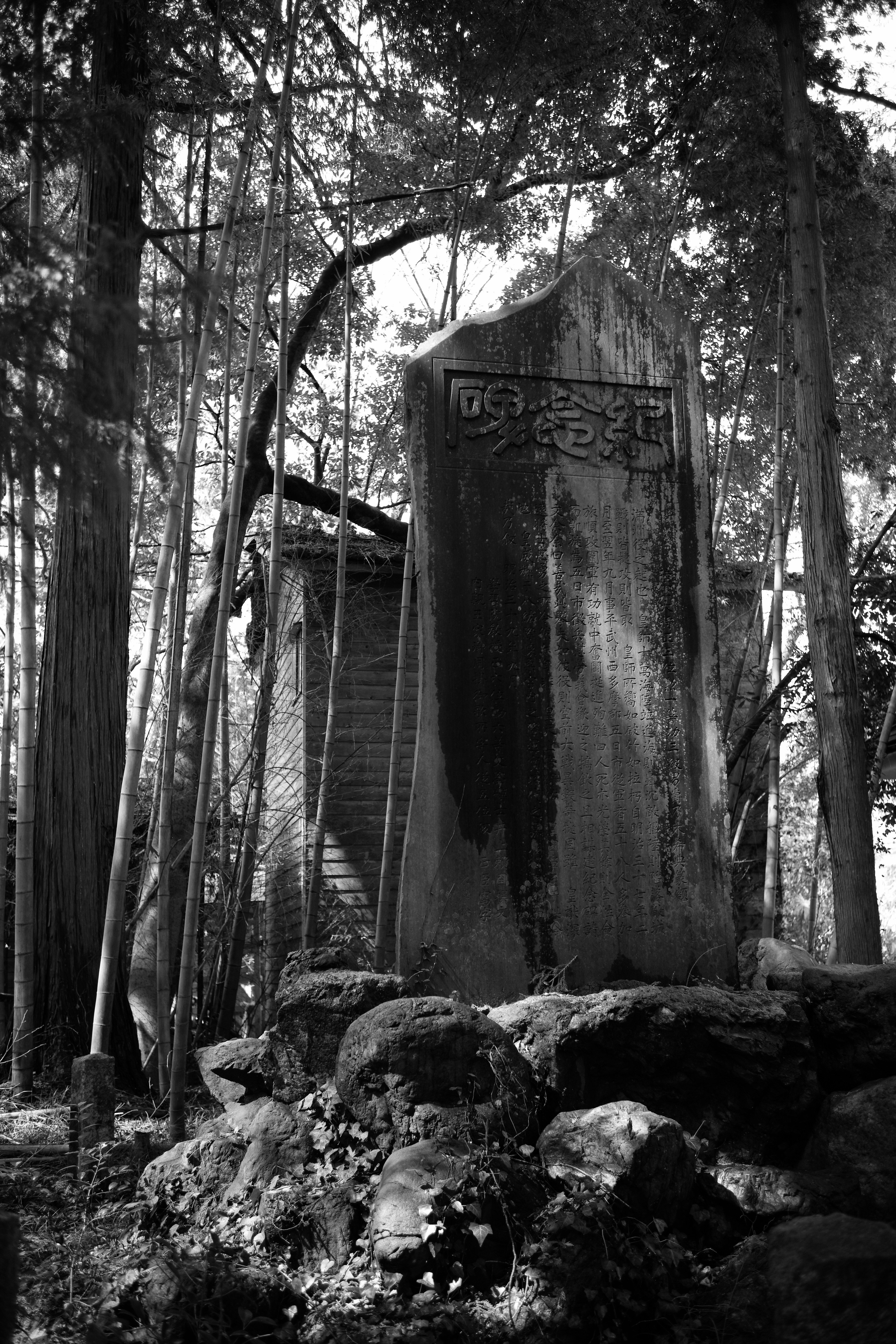 阿伎留神社 | LEICA M-P typ240｜Noki