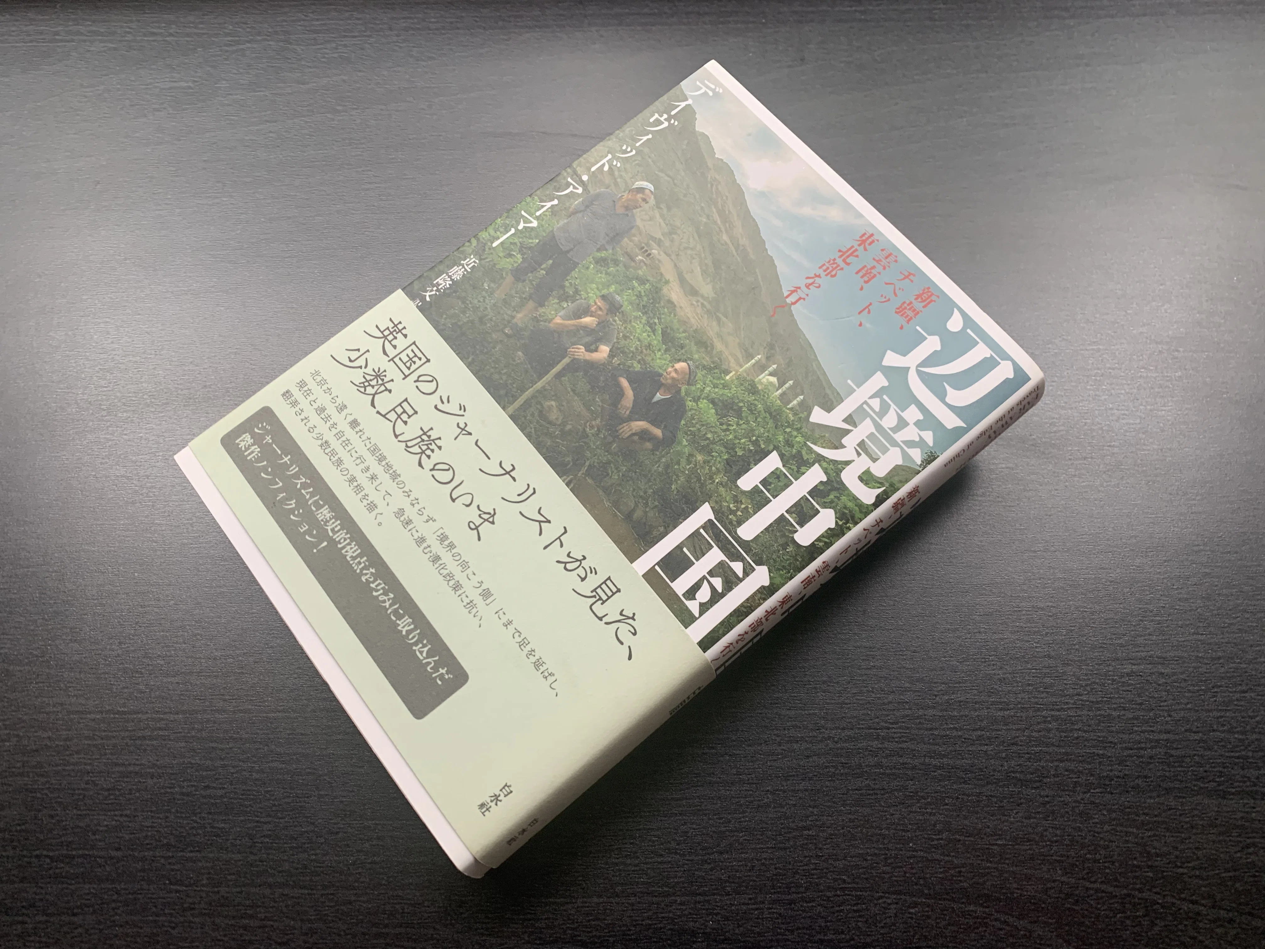 中国地理紀行　全18巻揃い Amazon.co.jp: d2-3（新版 わたしたちの地理 日本編）全18巻 全巻