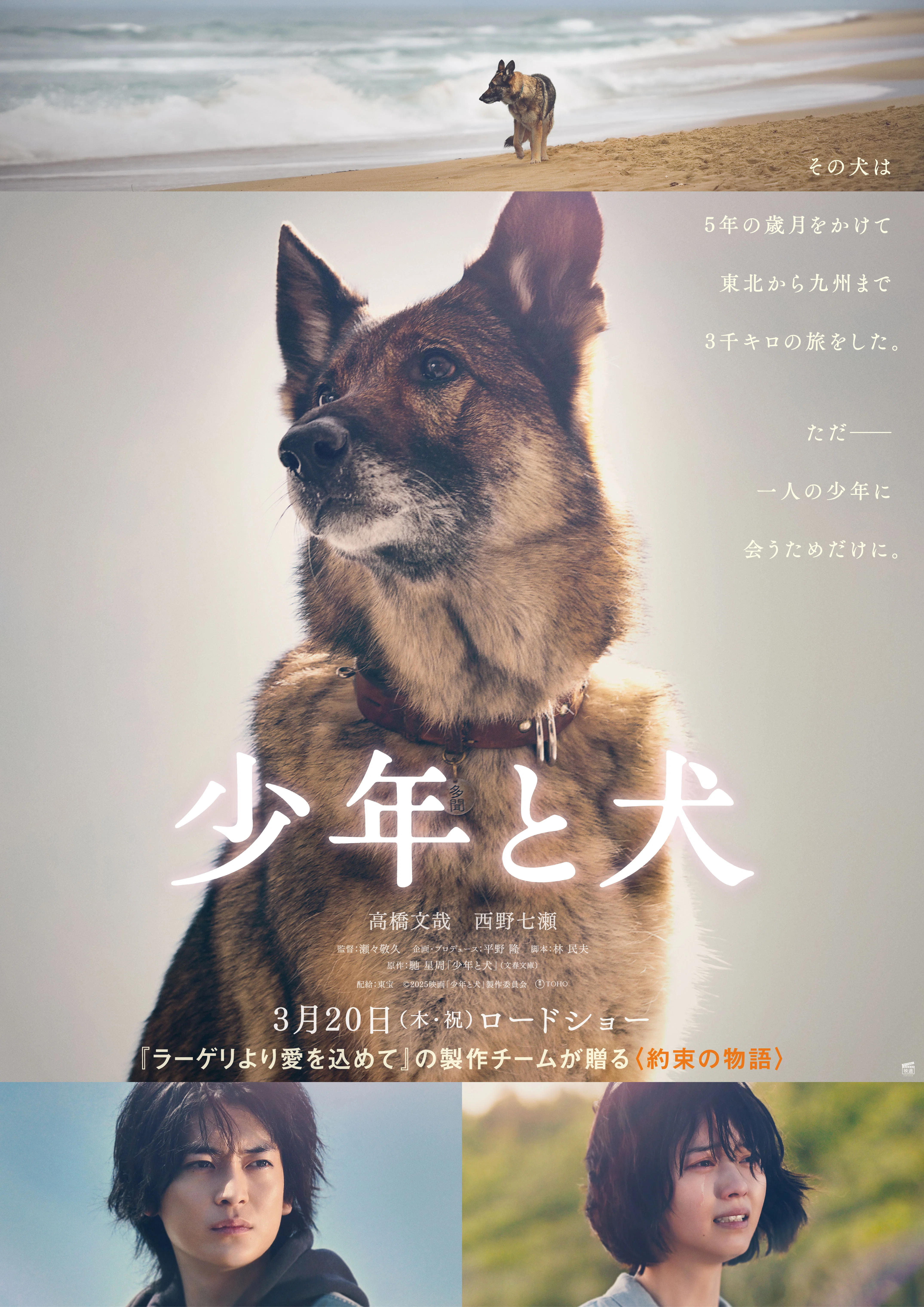 🎬映画【少年と犬】完成披露上映会で俳優犬「さくら」をアテンドする