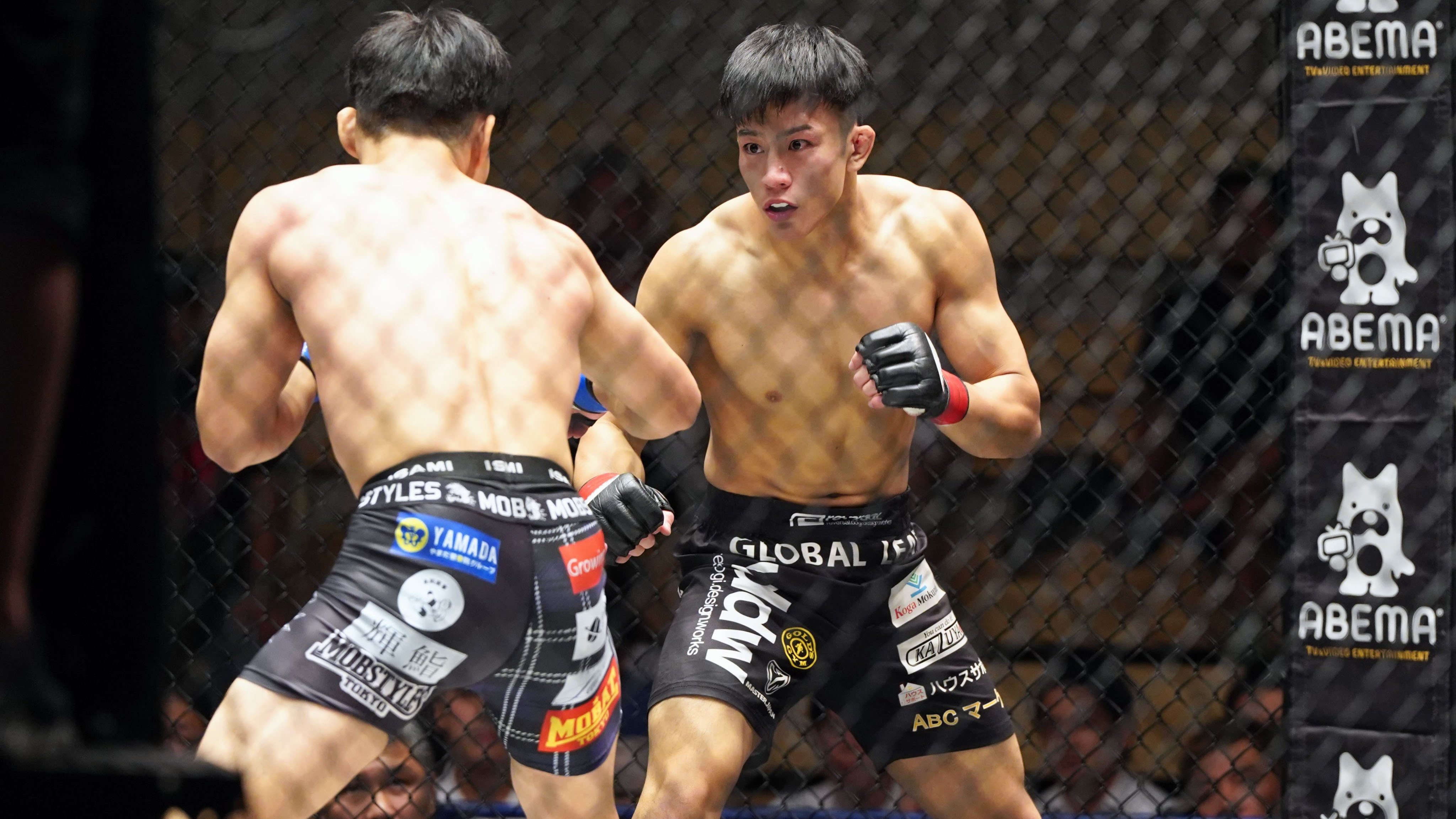 プロ修斗福岡大会 TORAO35 情報(2025年5月11日開催）｜Gigio