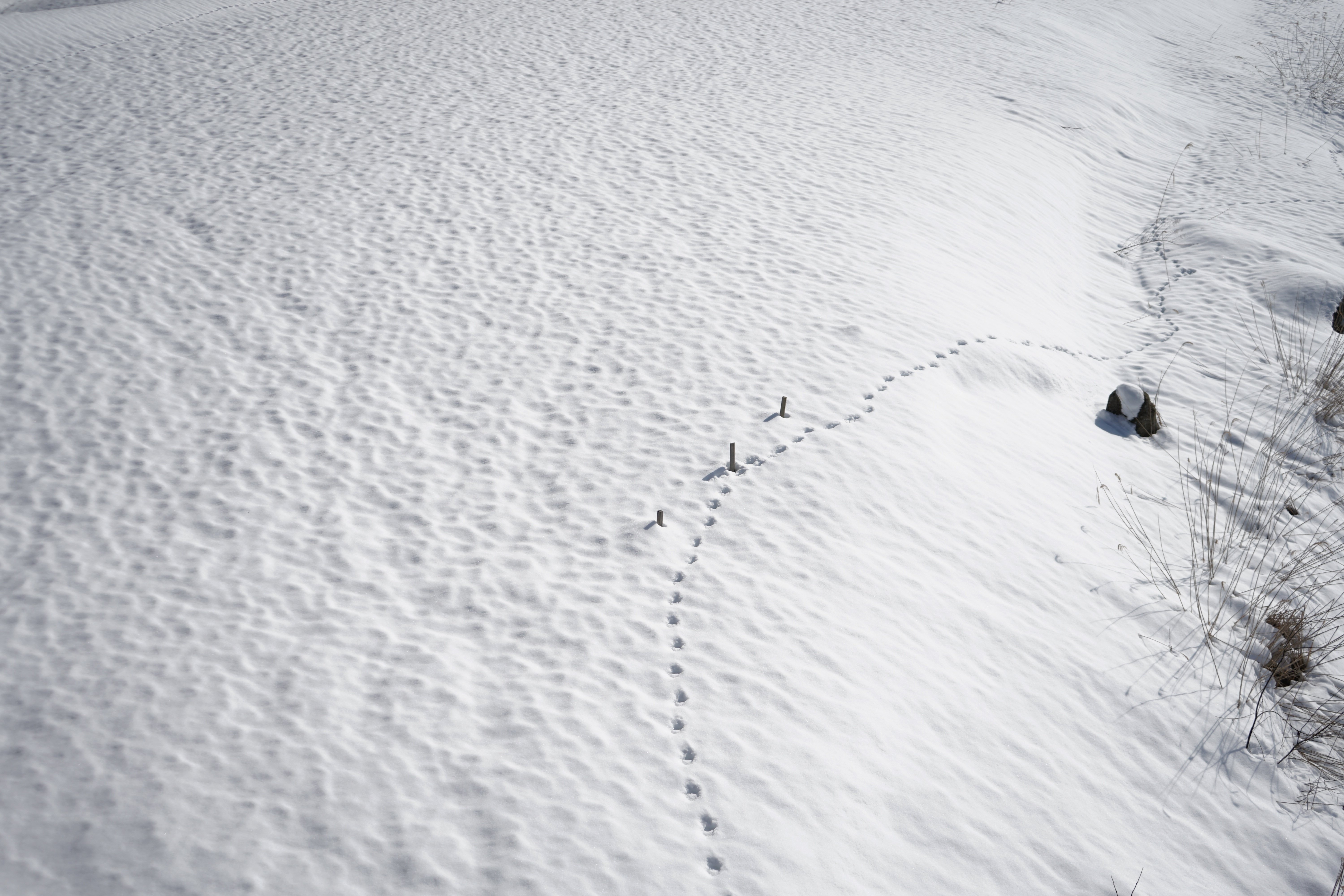 気兼ねなくタフに 〜 hatsutoki 