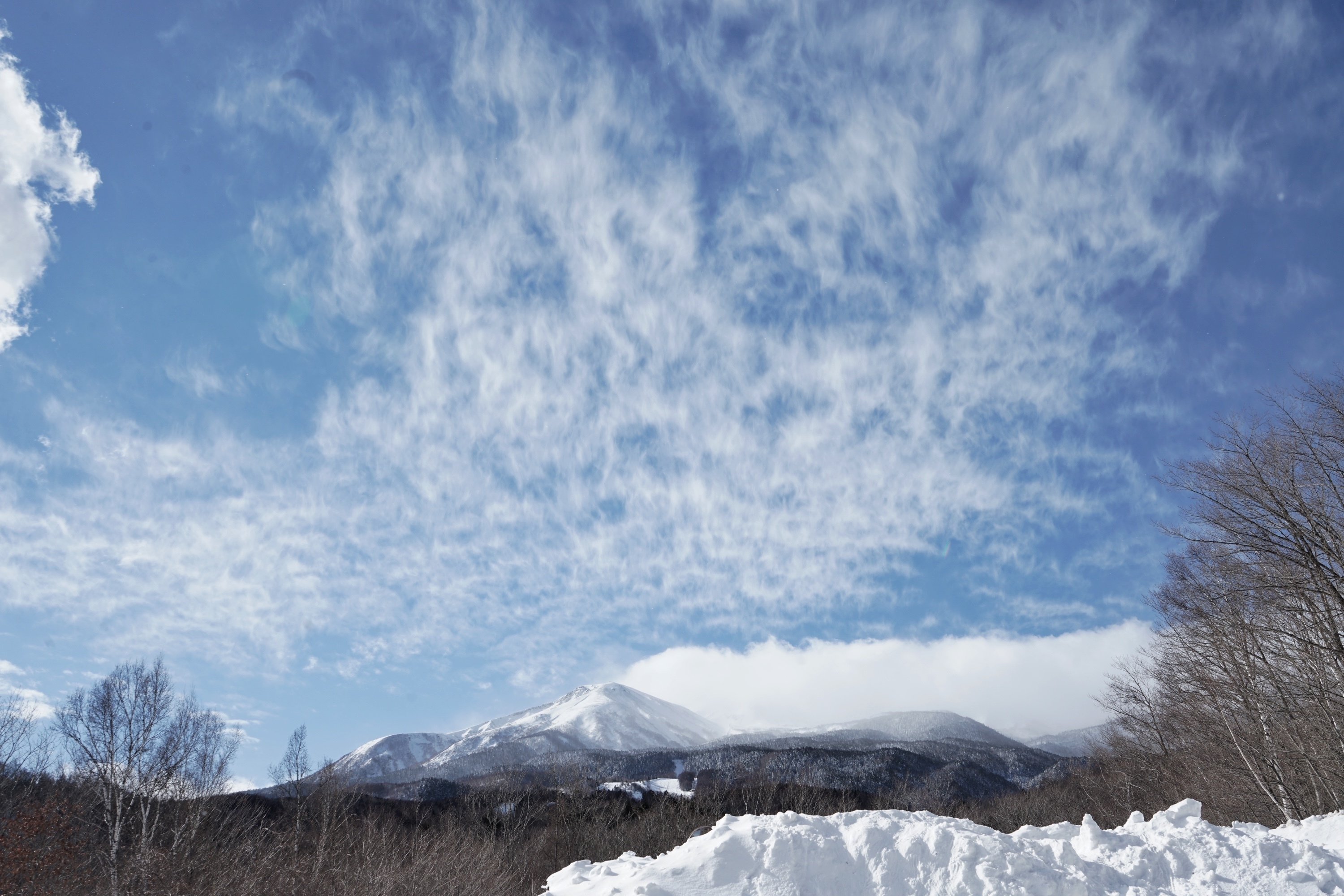 気兼ねなくタフに 〜 hatsutoki 