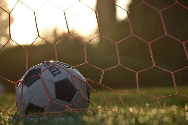 小学校で始めたサッカー