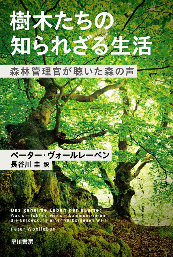早川書房が電撃加入！6社編集長が本気で推す！＜教養文庫コラボフェア