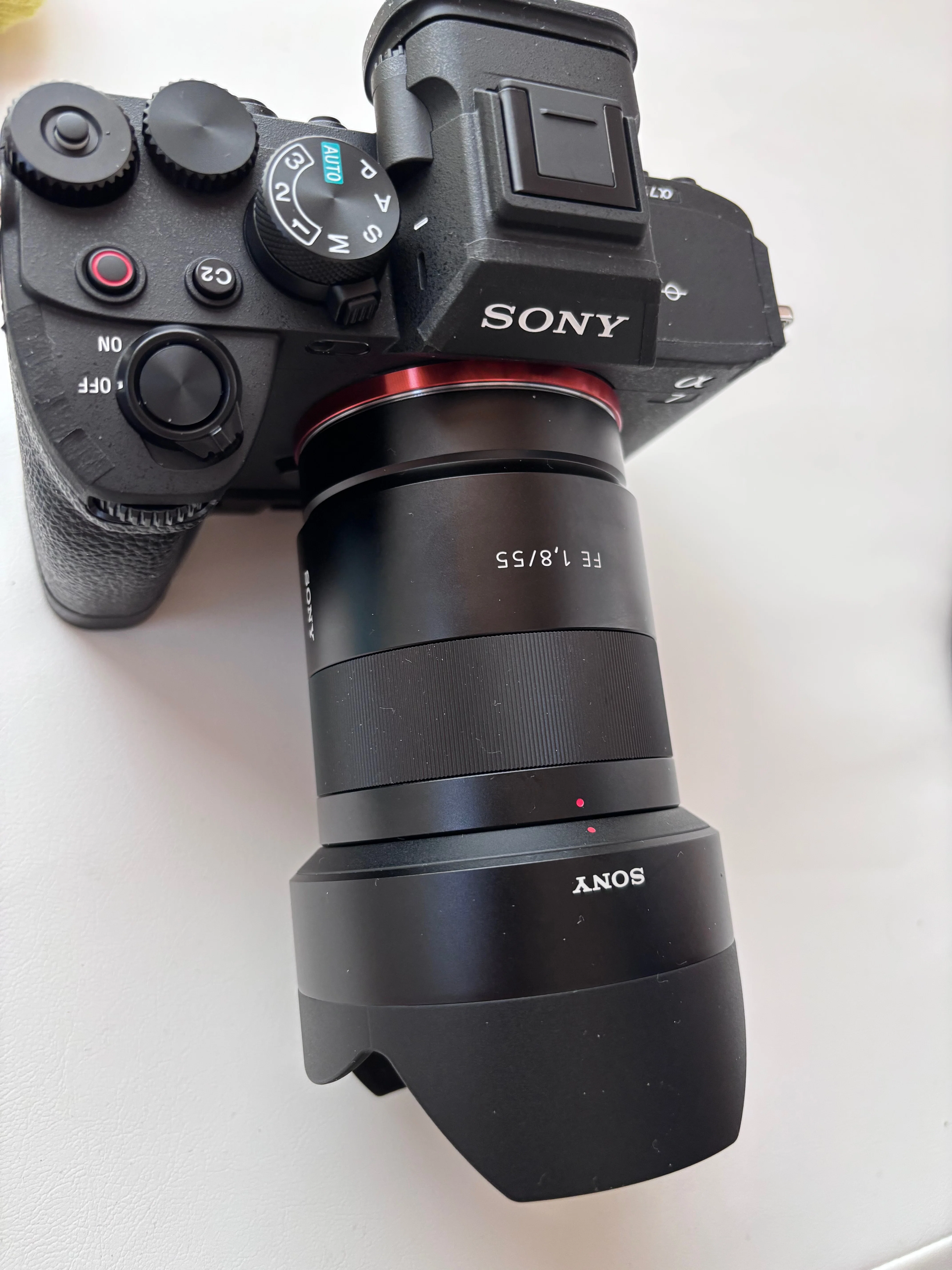 正にスナップシューターな smc PENTAX DA40㎜F2.8 Limited。｜鶏(とり)