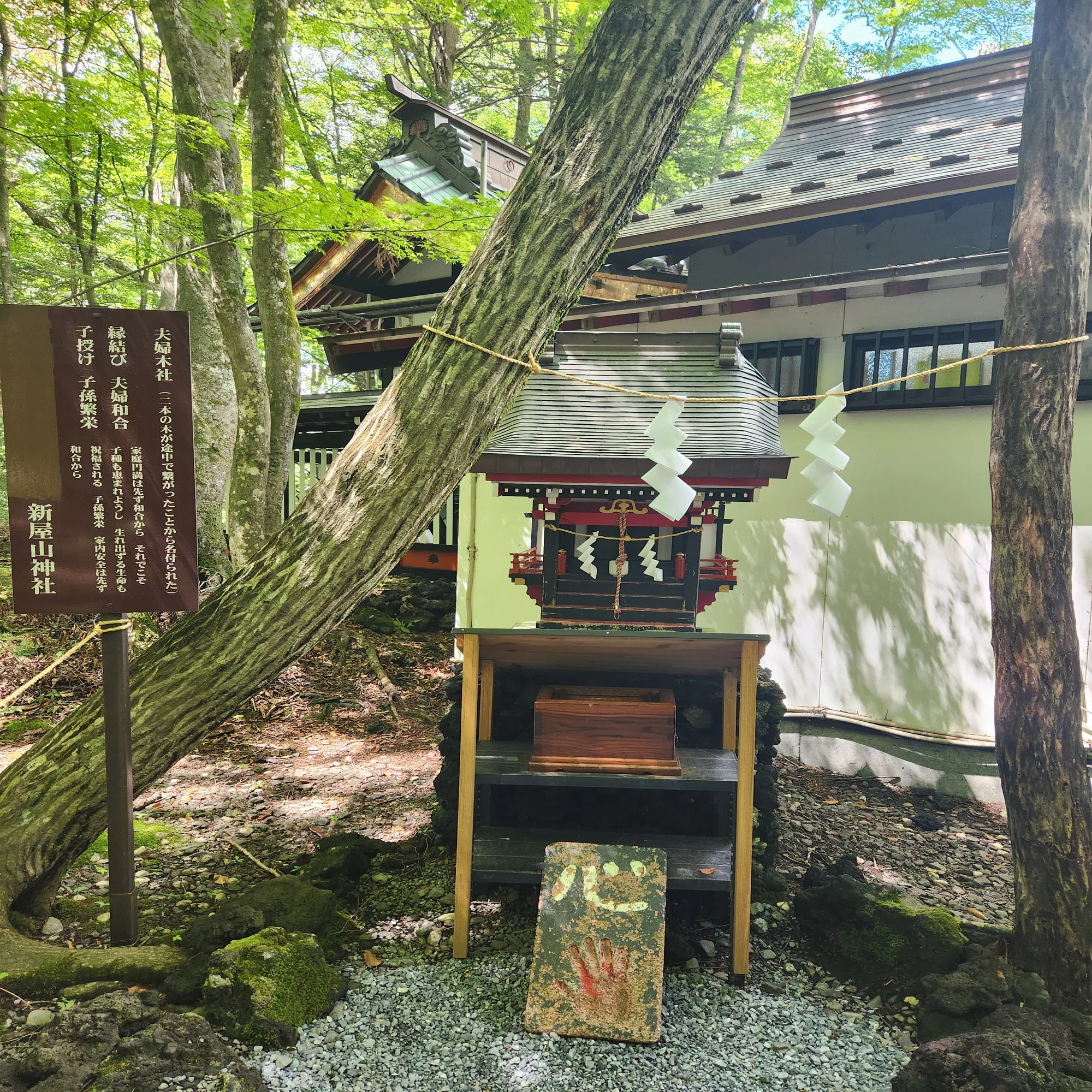 日本一金運上昇のヤマノカミサマ ～新屋山神社と奥宮～｜龍神くくりの 