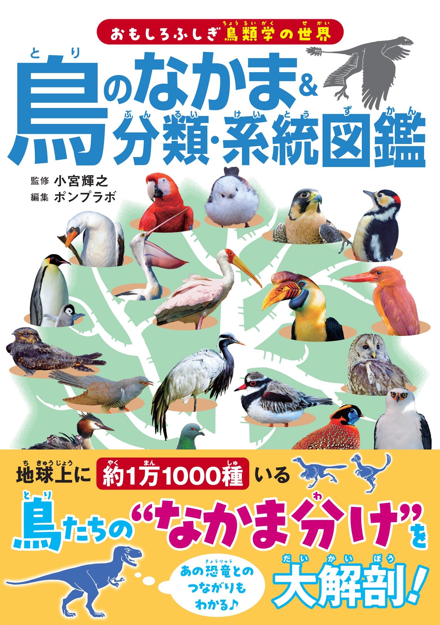 【最終値下げ】鳥類原色大図説 全3巻 セット 鳥 図鑑 動物 最終値下げ】鳥類原色大図説 全3巻 セット 鳥 図鑑 動物 - メルカリ