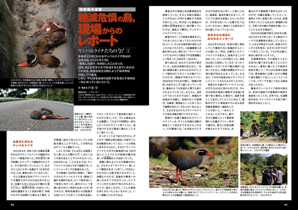 京都市動物園 - Wikipedia