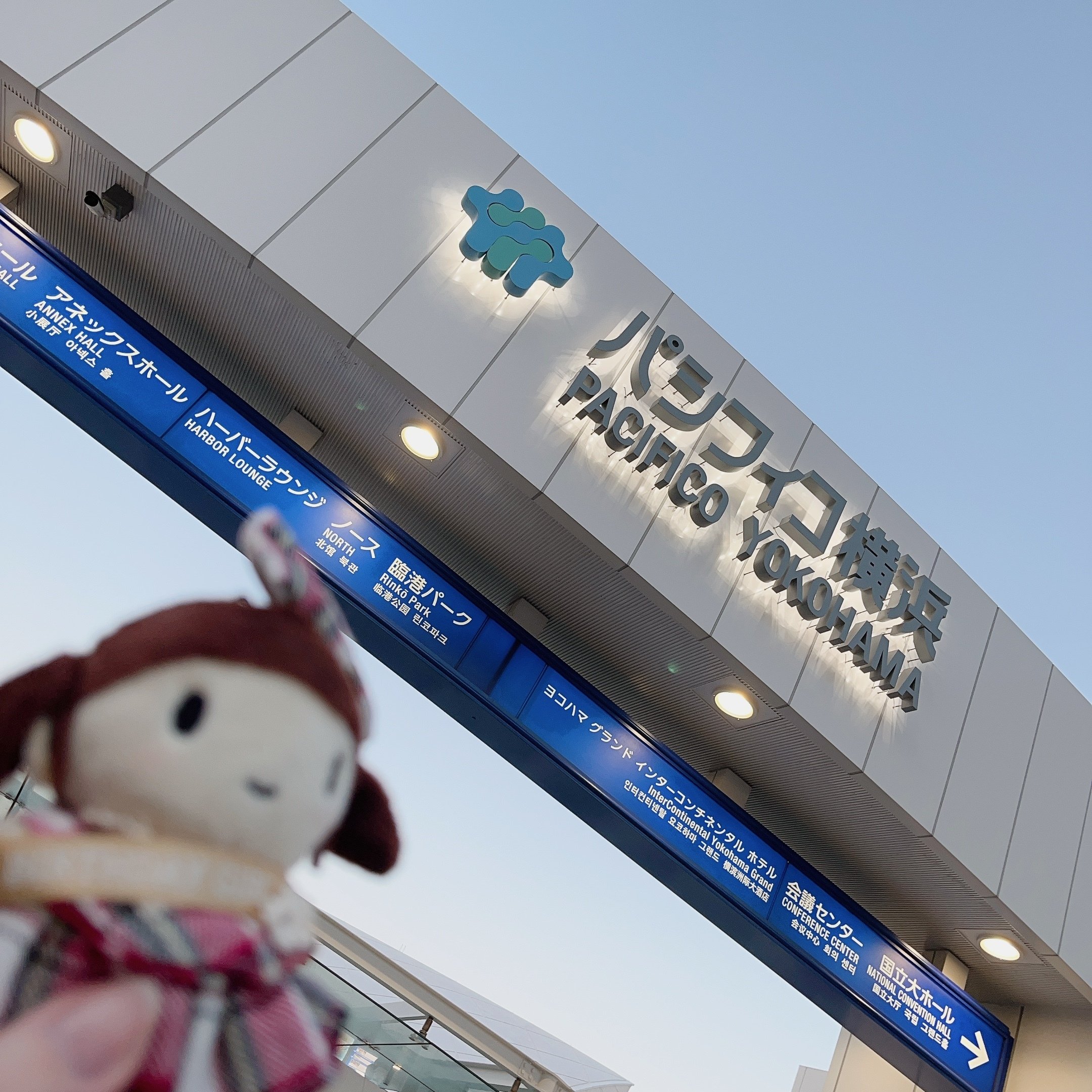 田村ゆかり パペット くろすけ未開封 田村ゆかり LOVE (ﾊｰﾄ) LIVE *I Love Rabbit* 田村 ゆかり KING