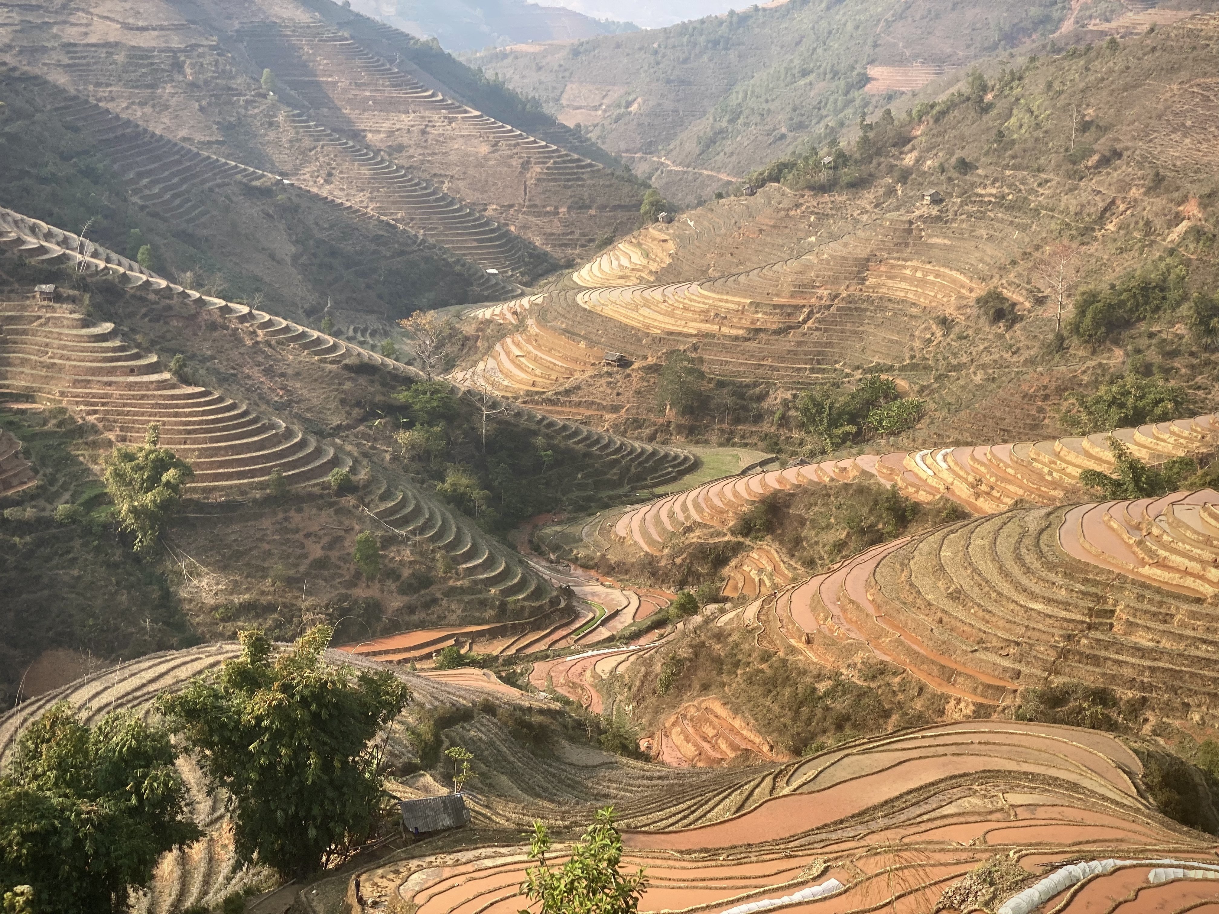 3月限定！世界一美しいムーカンチャイの棚田「幻の水鏡」｜yuka