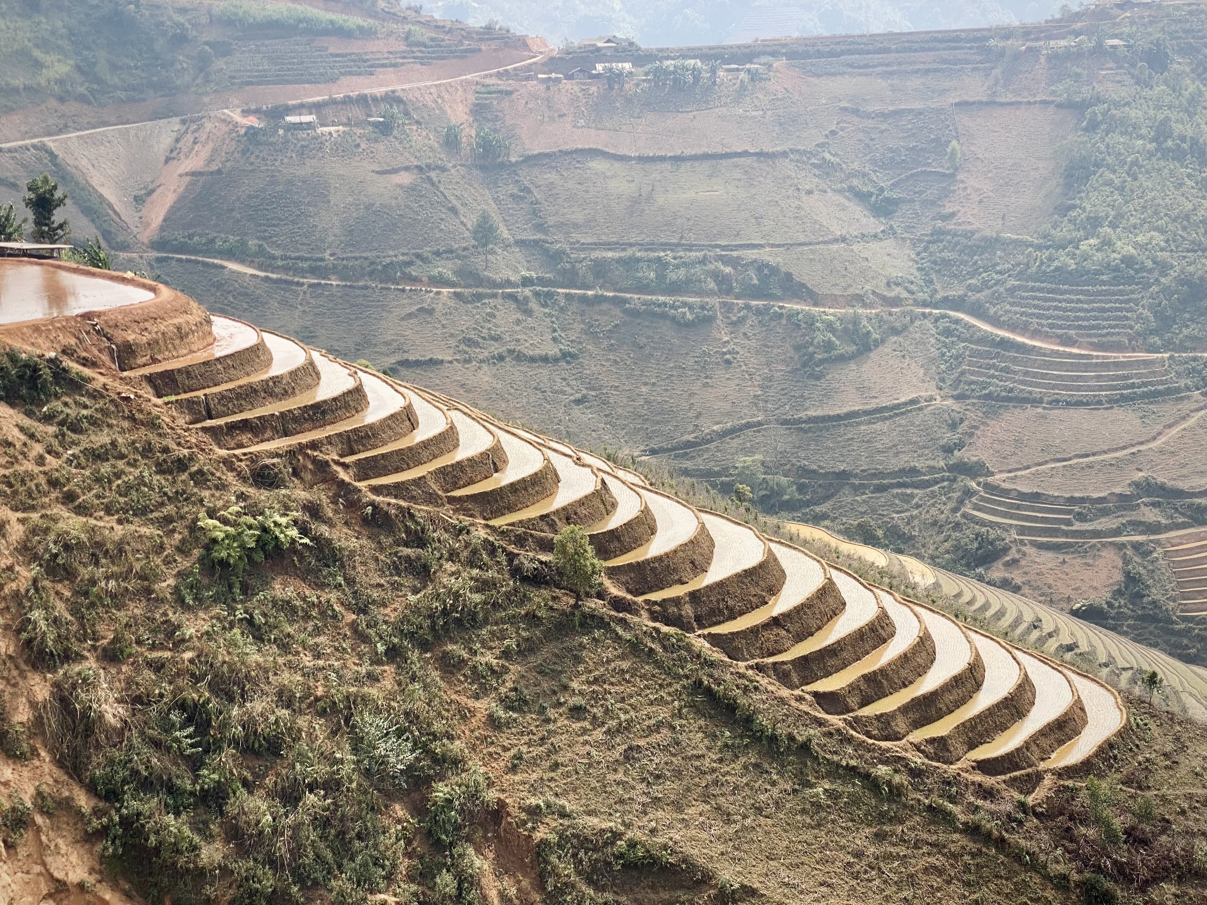 棚田 - 作品｜大地の芸術祭 立体絵画の「ベトナムの棚田」