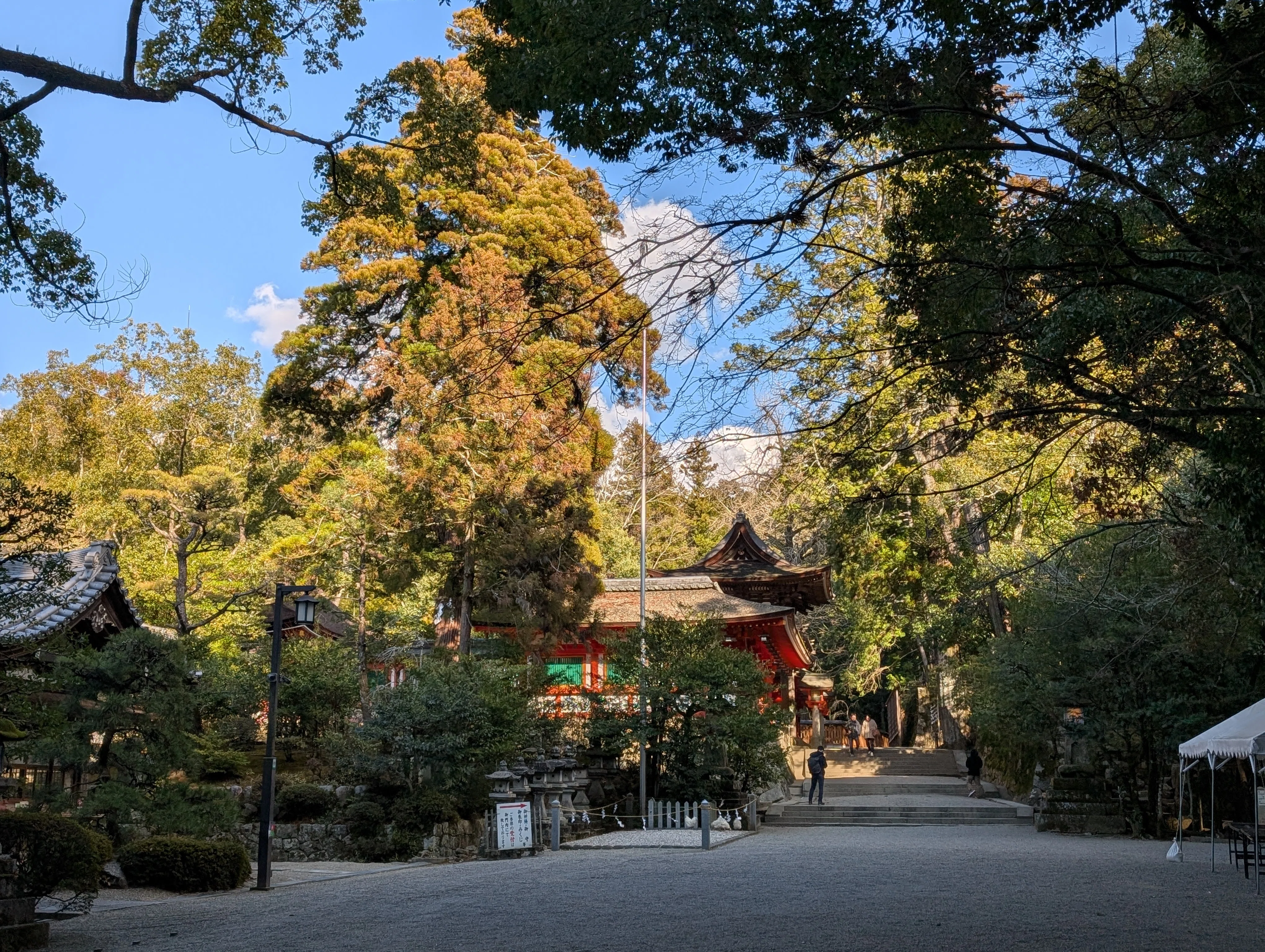 ソロ旅備忘録：2025年2月奈良大阪へ（2.石上神宮へ）｜間地雄一（まじ