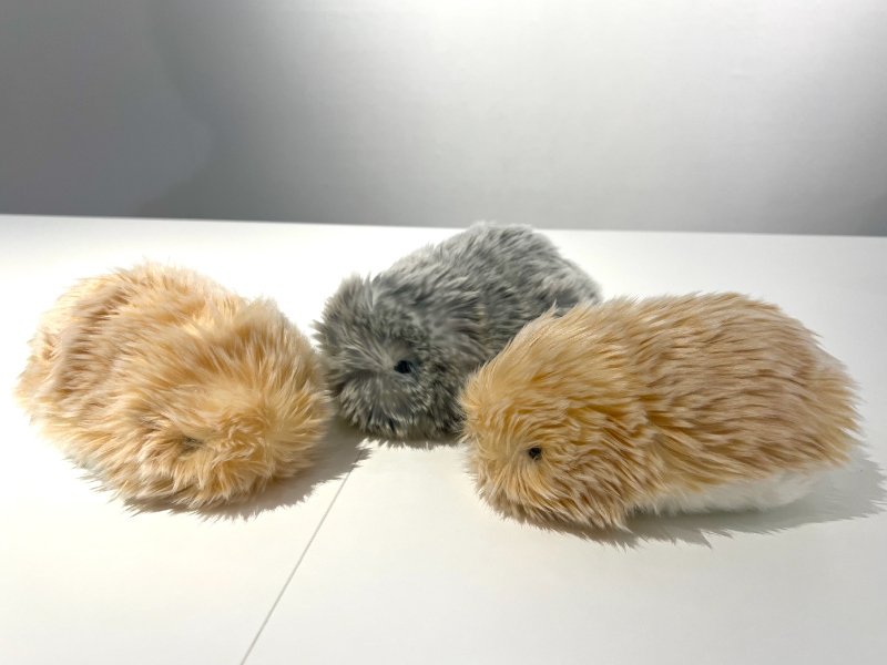 モフリン　ゴールド　moflin Moflin（モフリン）」の飼い主に育てた感想を聞きました！vol2