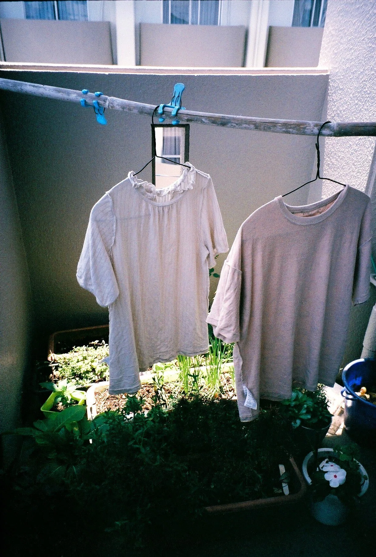昔のフィルムカメラ（京セラTzoom）で撮ってみる｜Heira.K