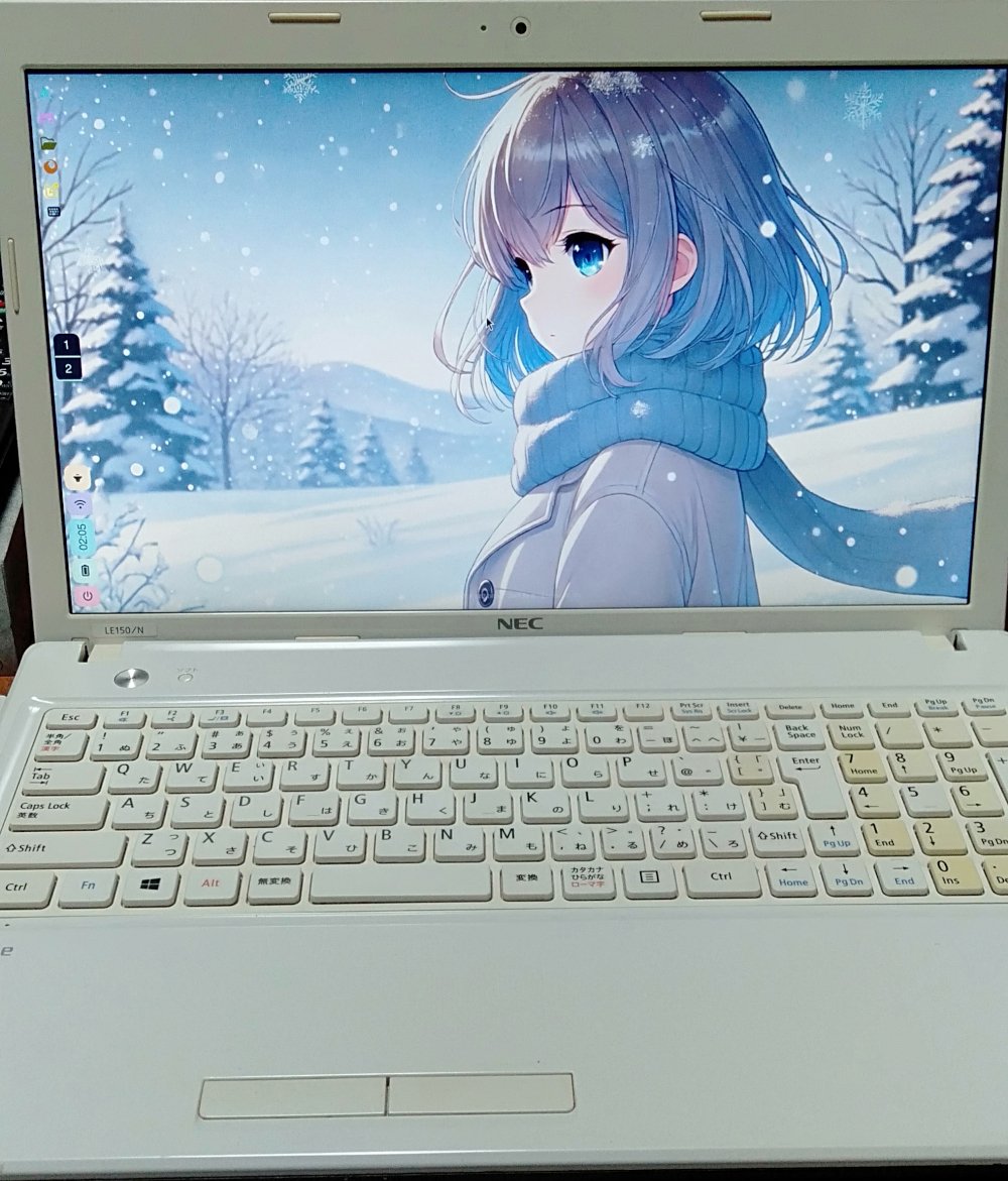 NEC PC-LE150N2W Lavie LE150/N Win10 Celeron 1005M 1.90GHz