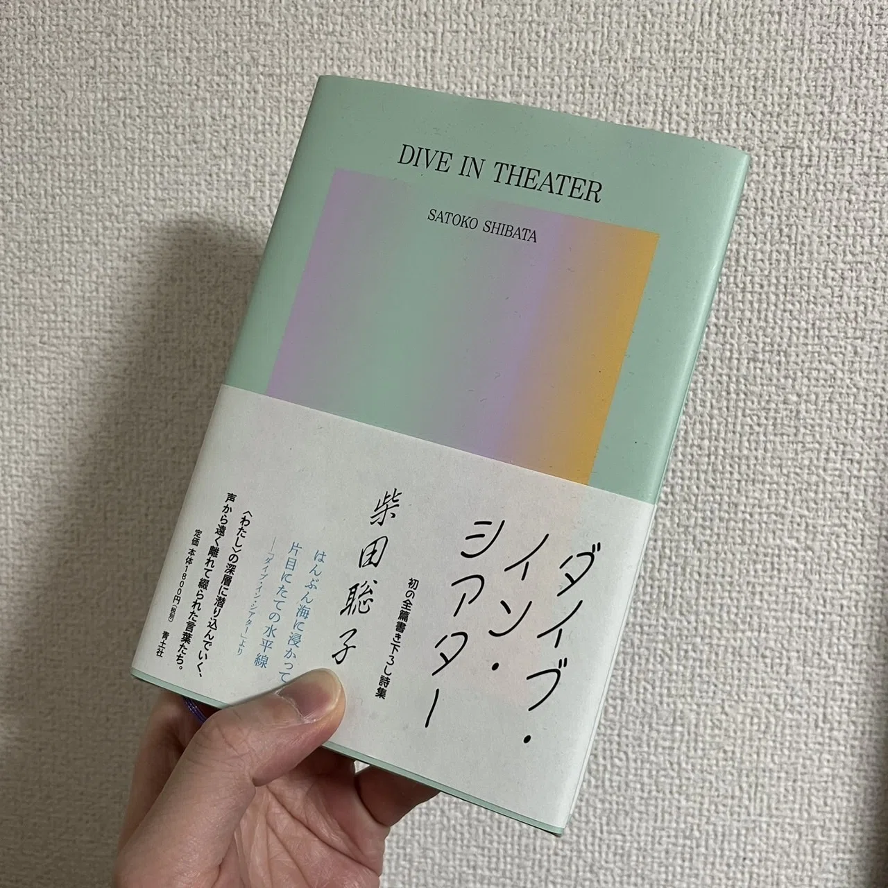 読書記録#9 柴田聡子『ダイブ・イン・シアター』青土社｜tetsuoji_