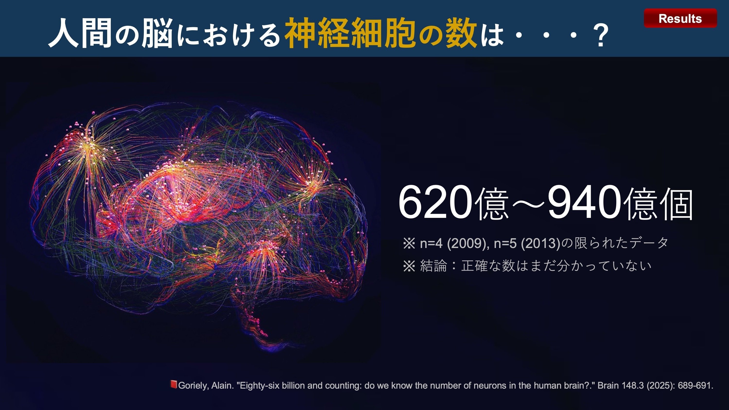 キーワードを読む脳・神経 脳活（Ryuew-ZA ニュース 2023年8月） │ 広報誌あすなろ