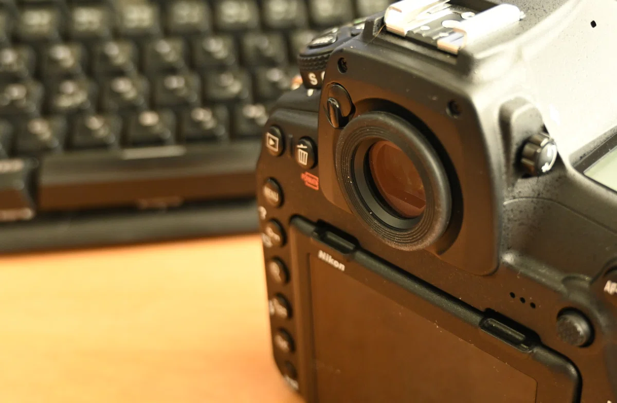NIKON D850が手元に戻ってきた YA YA YA！｜Old Boys