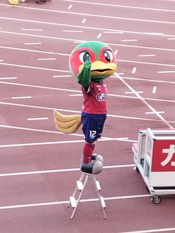 ファジアーノ岡山 ファジ丸 ぬいぐるみ J1昇格 Jリーグ マスコット サッカー Amazon.co.jp: ファジアーノ岡山 ファジ丸 ぬいぐるみ J1昇格 J