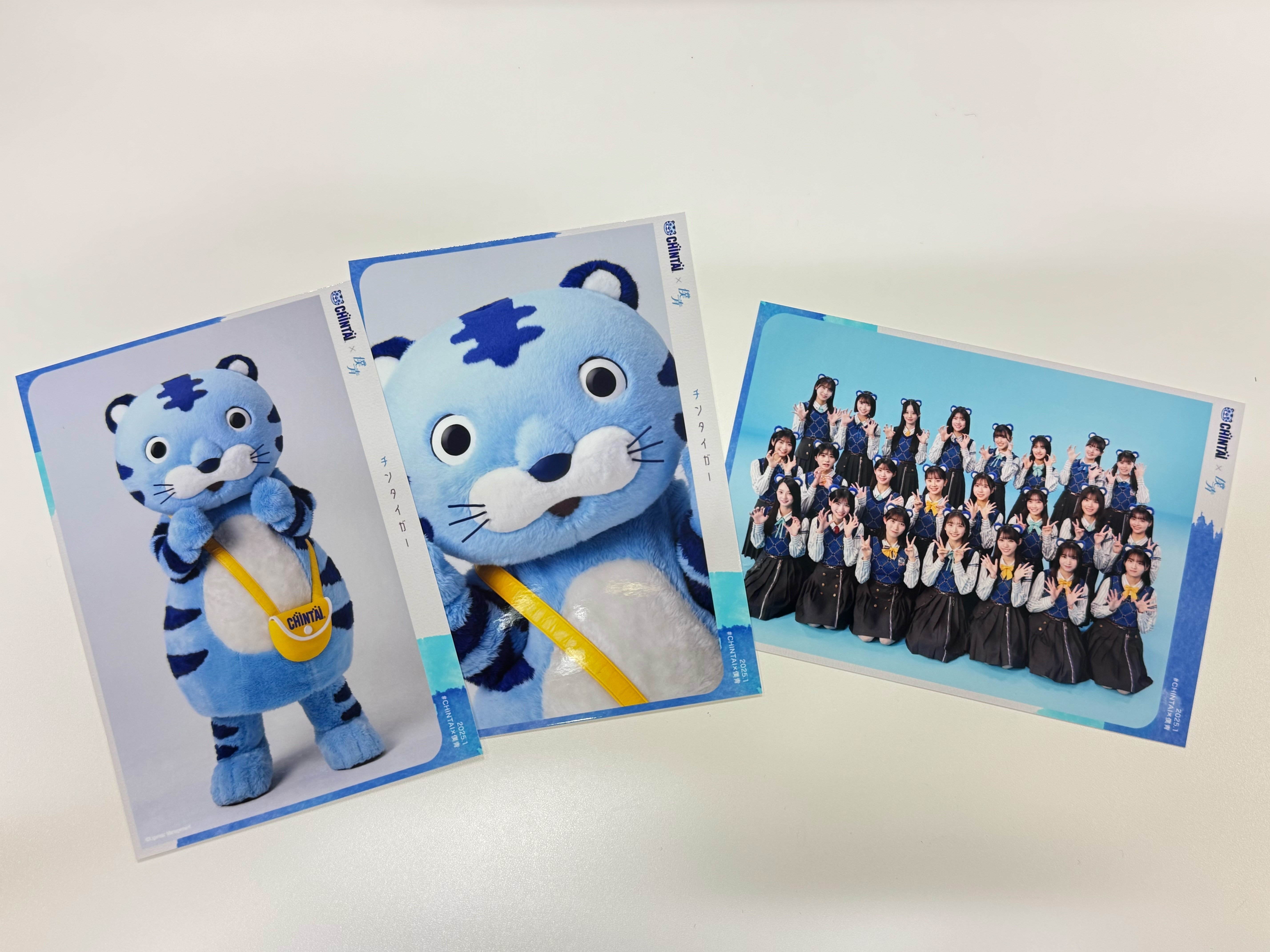 能登半島の復興を応援！「僕が見たかった青空」とCHINTAIが届けた