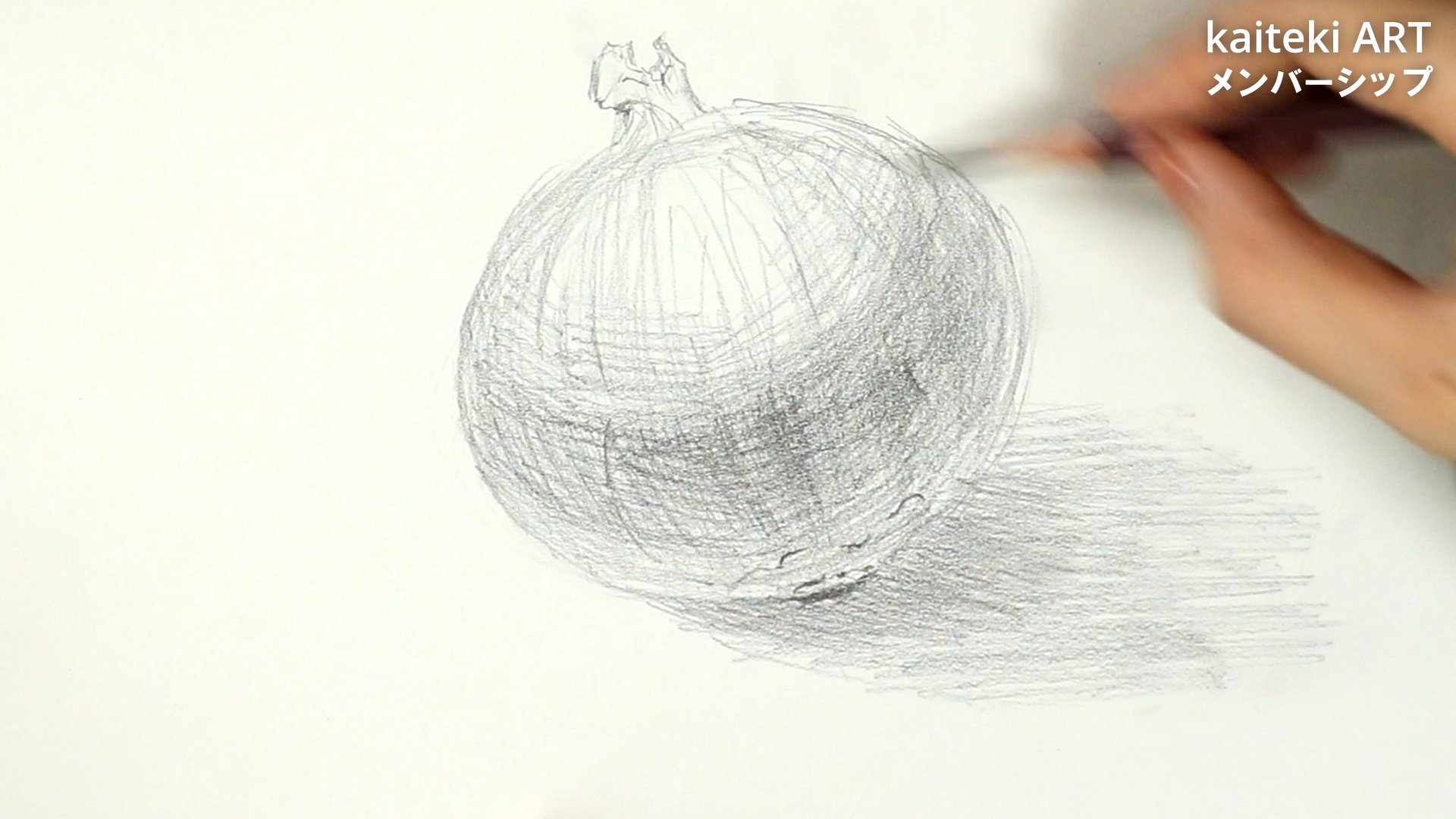 玉ねぎの鉛筆画 玉ねぎの鉛筆画 デッサン】玉ねぎを描く【初心者でも簡単!】 - BOBIN