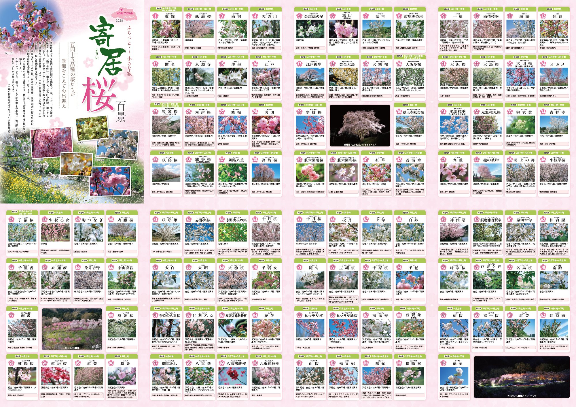 一年中桜に出会える町」を目指して｜寄居まちづくりNOTE