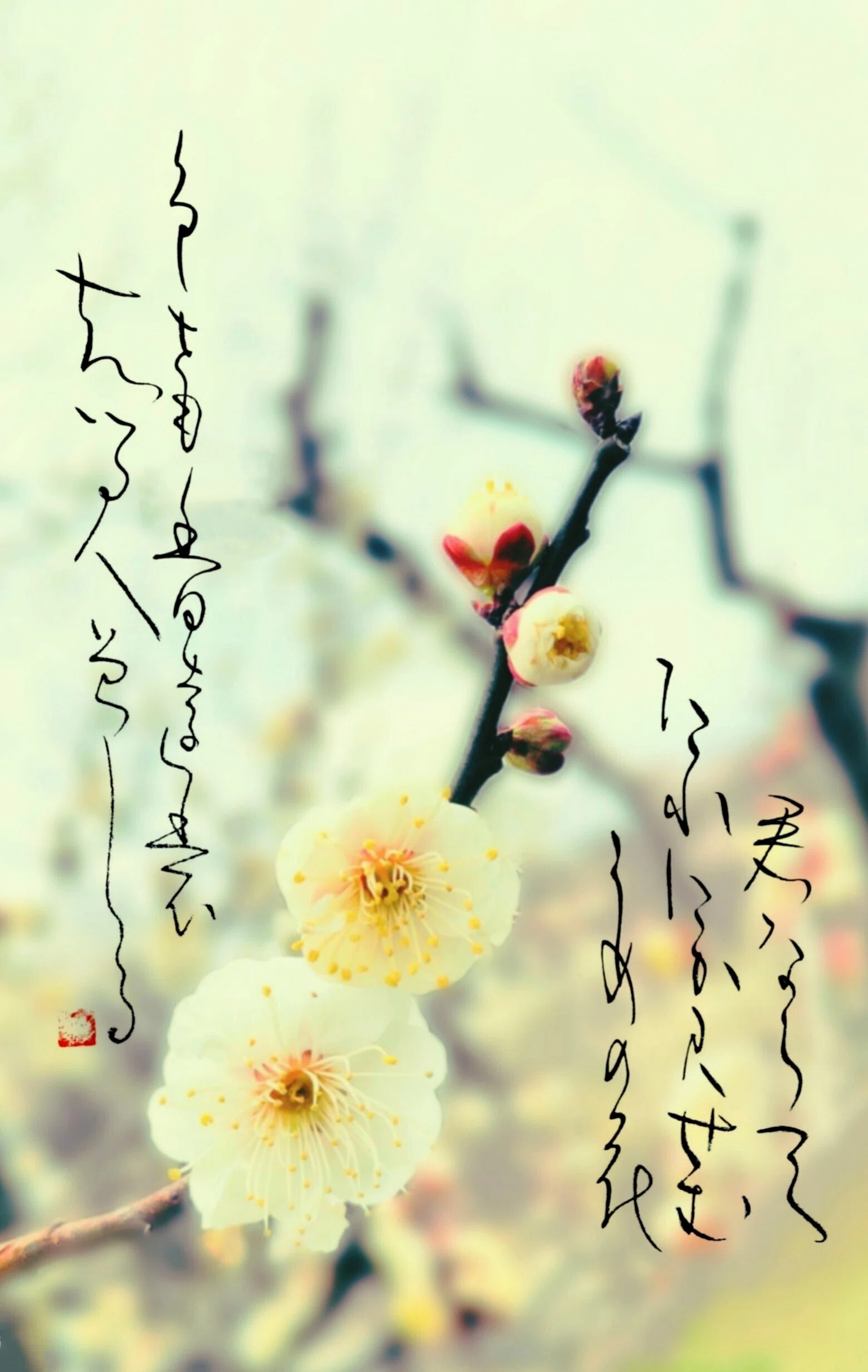 古今和歌集：紀友則】｜小川佳瑩
