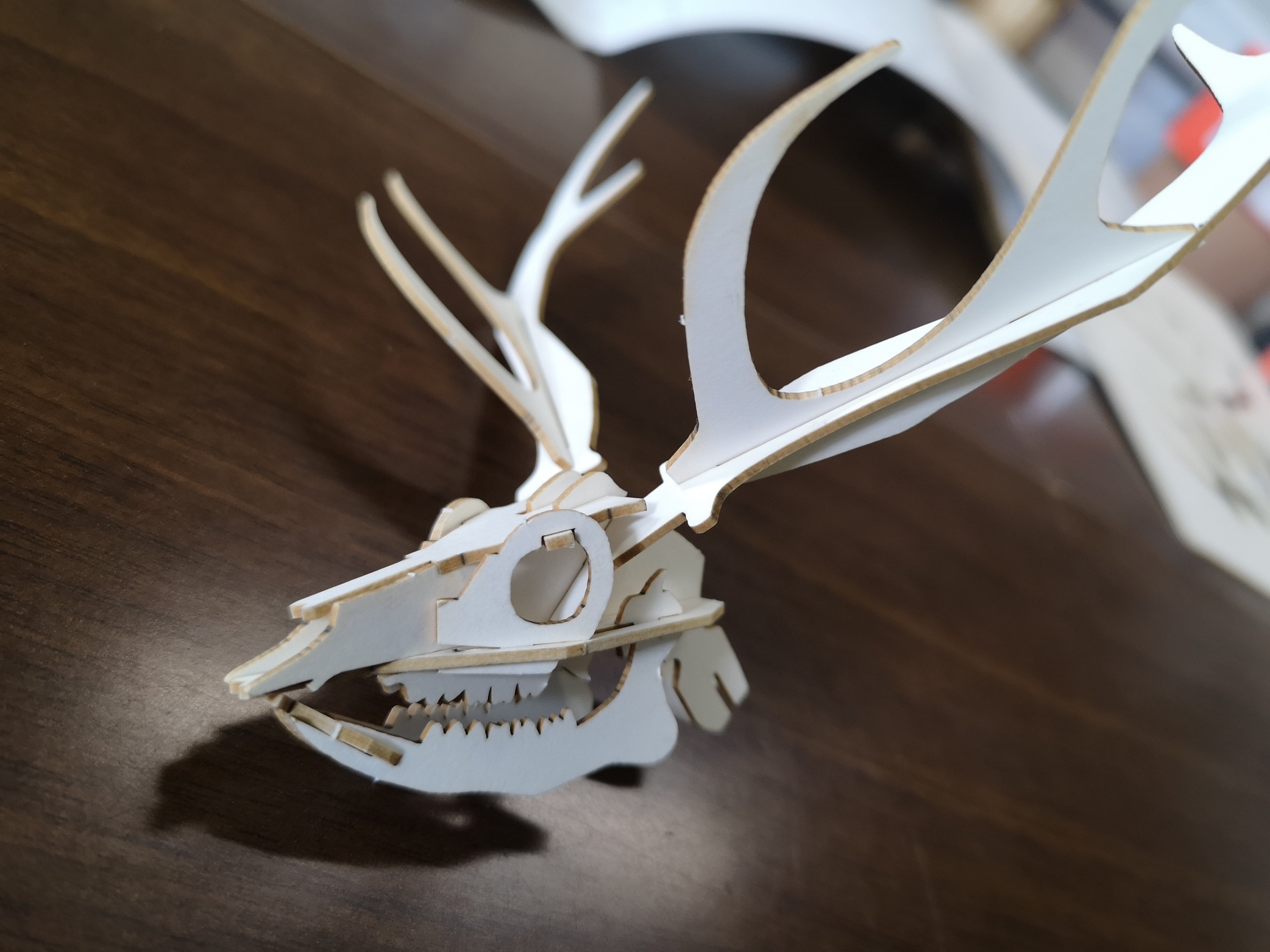 ニホンジカ全身骨格ペーパークラフトを組み立てる｜考えるジビエ