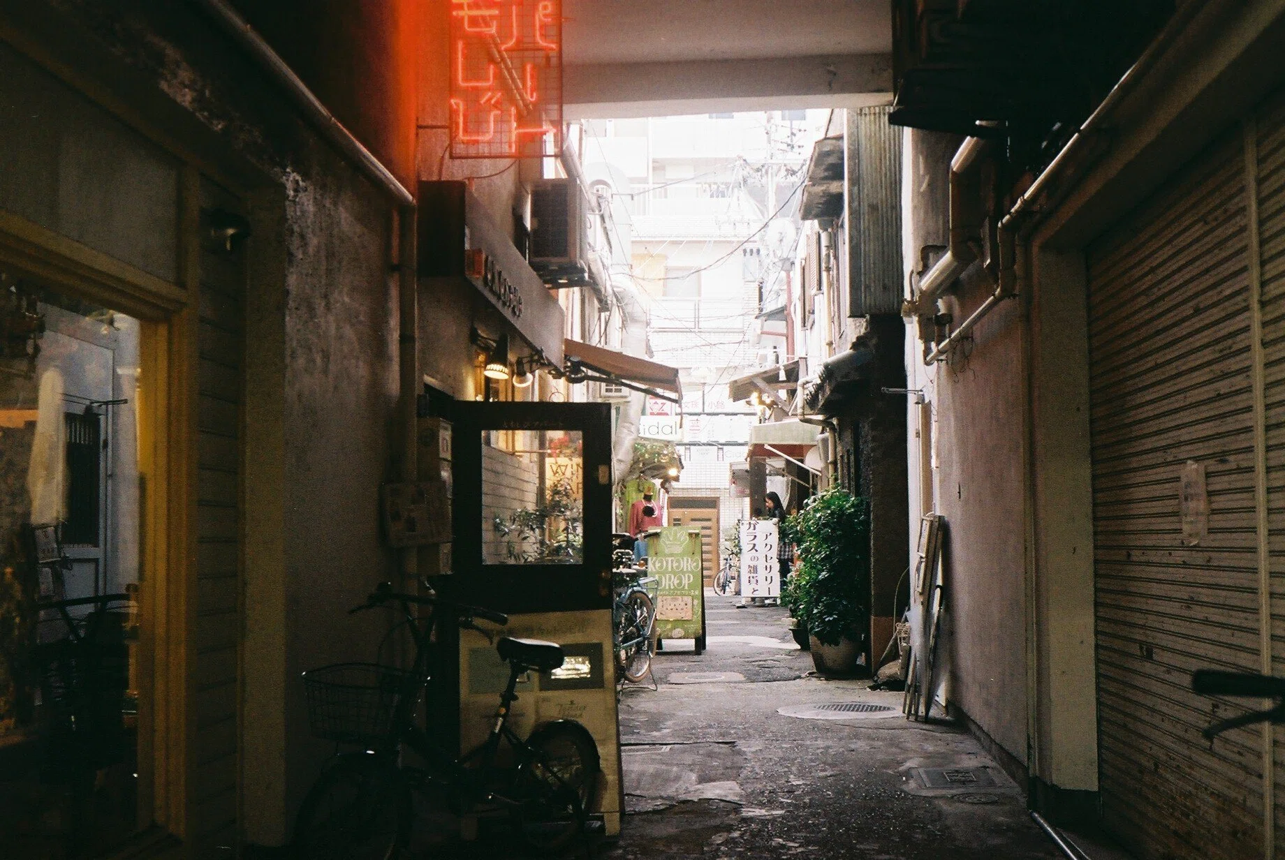 アウトローのアウトドア(134)：写真の話⑪：昔の高級“コンパクト