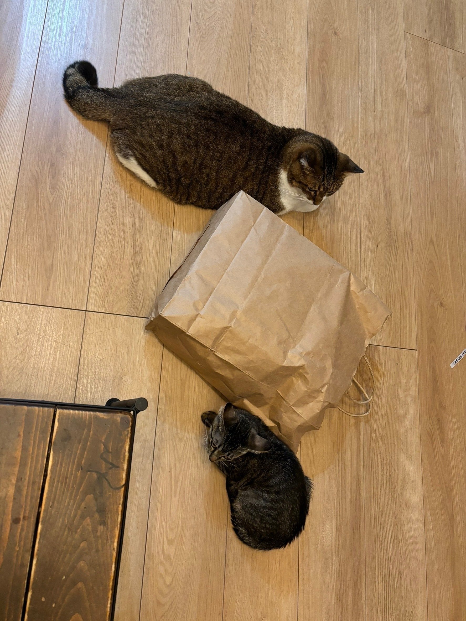 山中安澄さんインタビュー①草の根から社会へ｜大学のハラスメントを