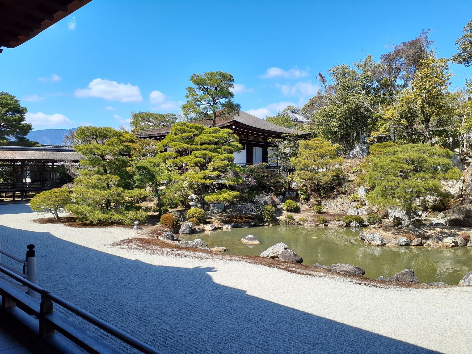 京都ひとり旅2】御室仁和寺 経蔵に魅せられる｜フランチェスカ