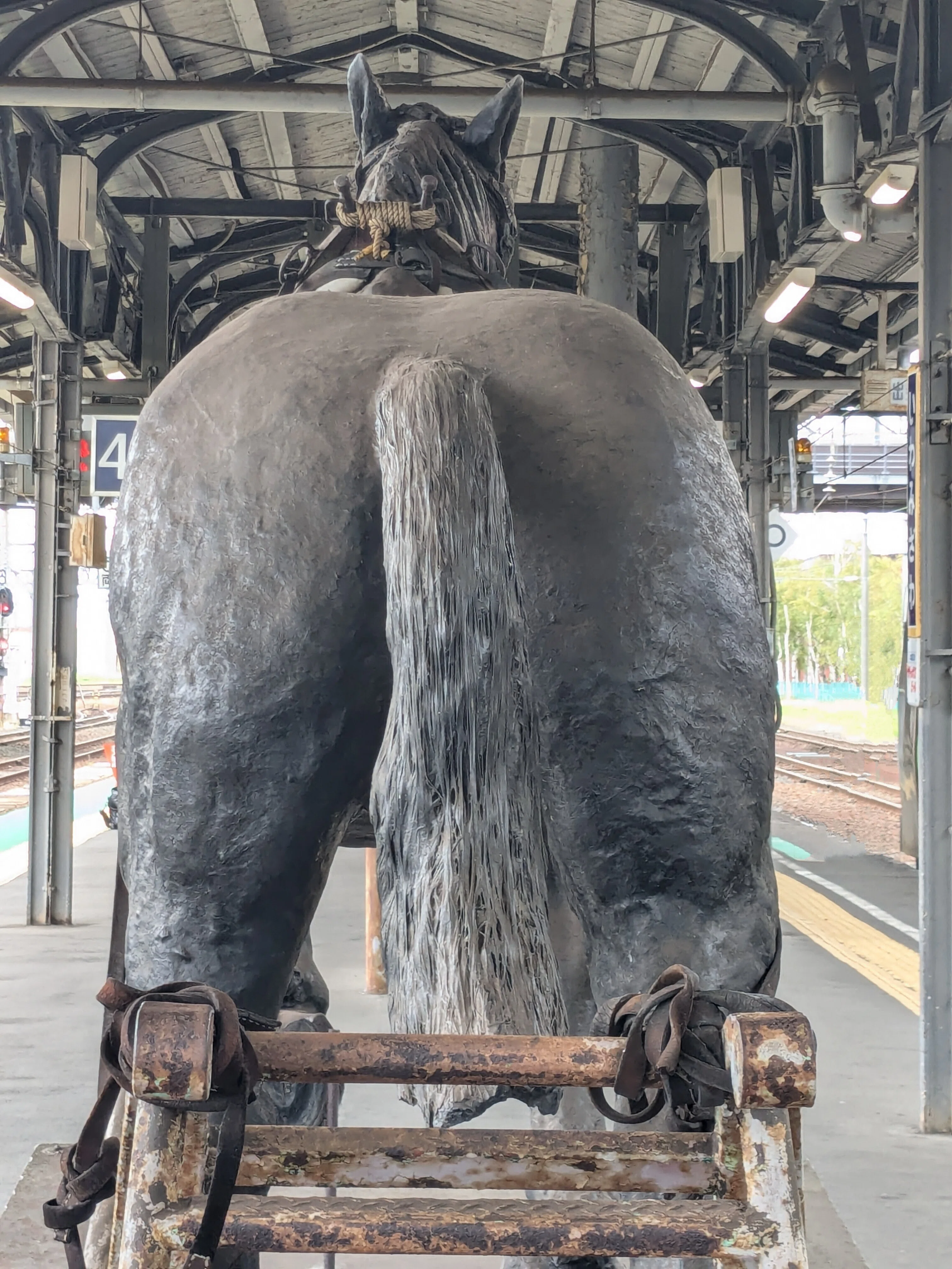 岩見沢駅前をご一緒に歩きませんか｜Sunny