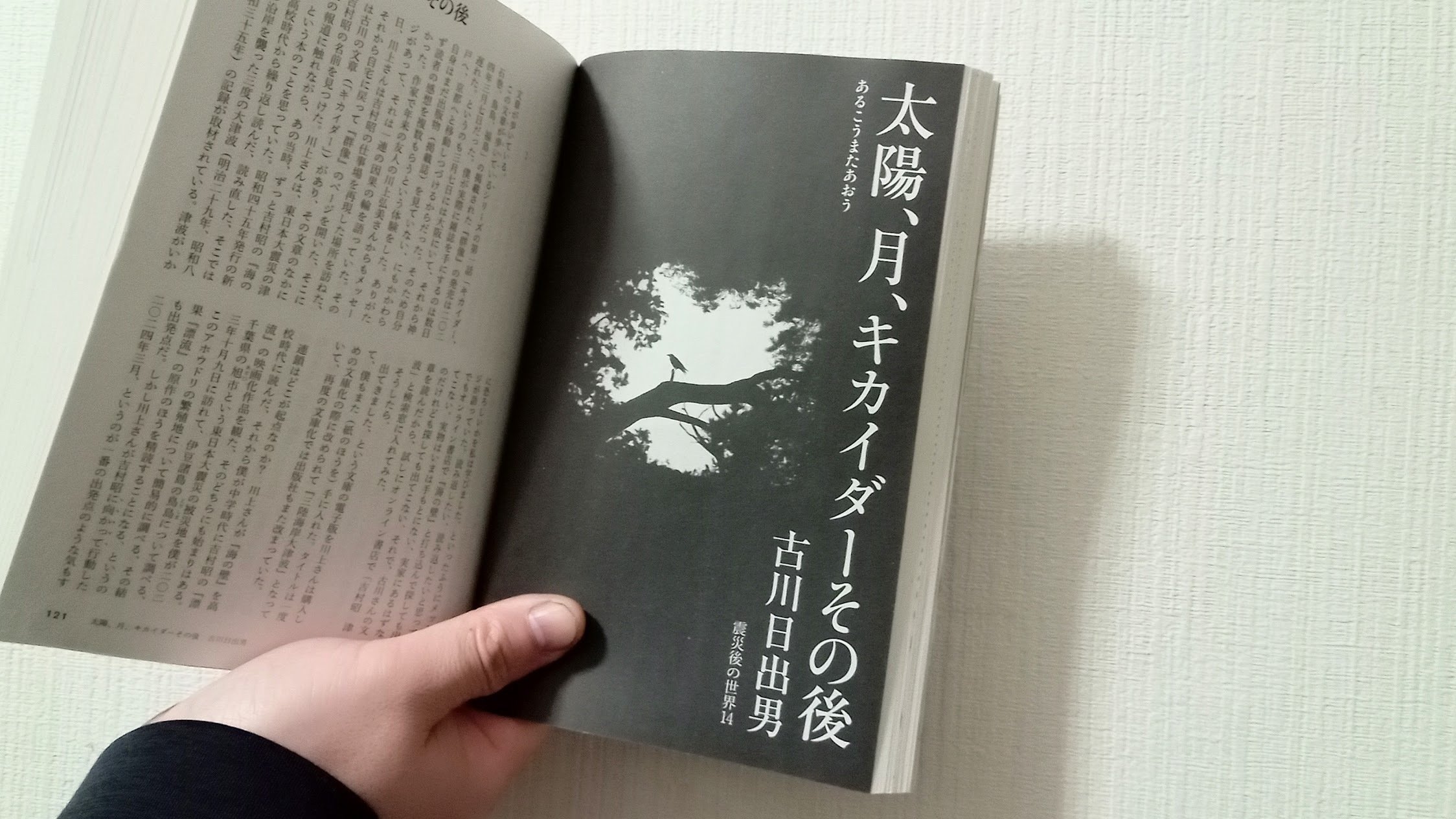 岡崎京子 21冊 セット売りのみ 14ひきのニュース 14ひきのシリーズ - 童心