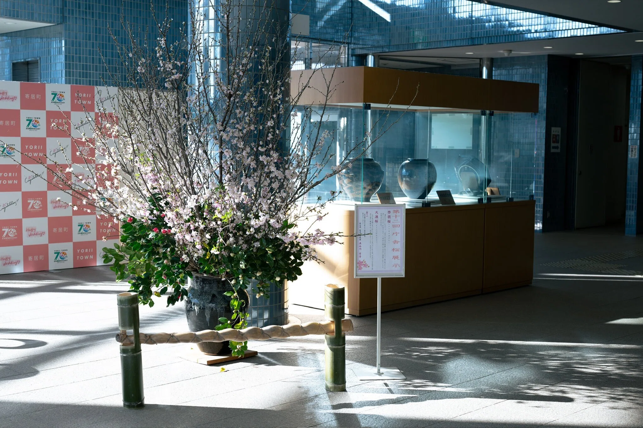 一年中桜に出会える町」を目指して｜寄居まちづくりNOTE