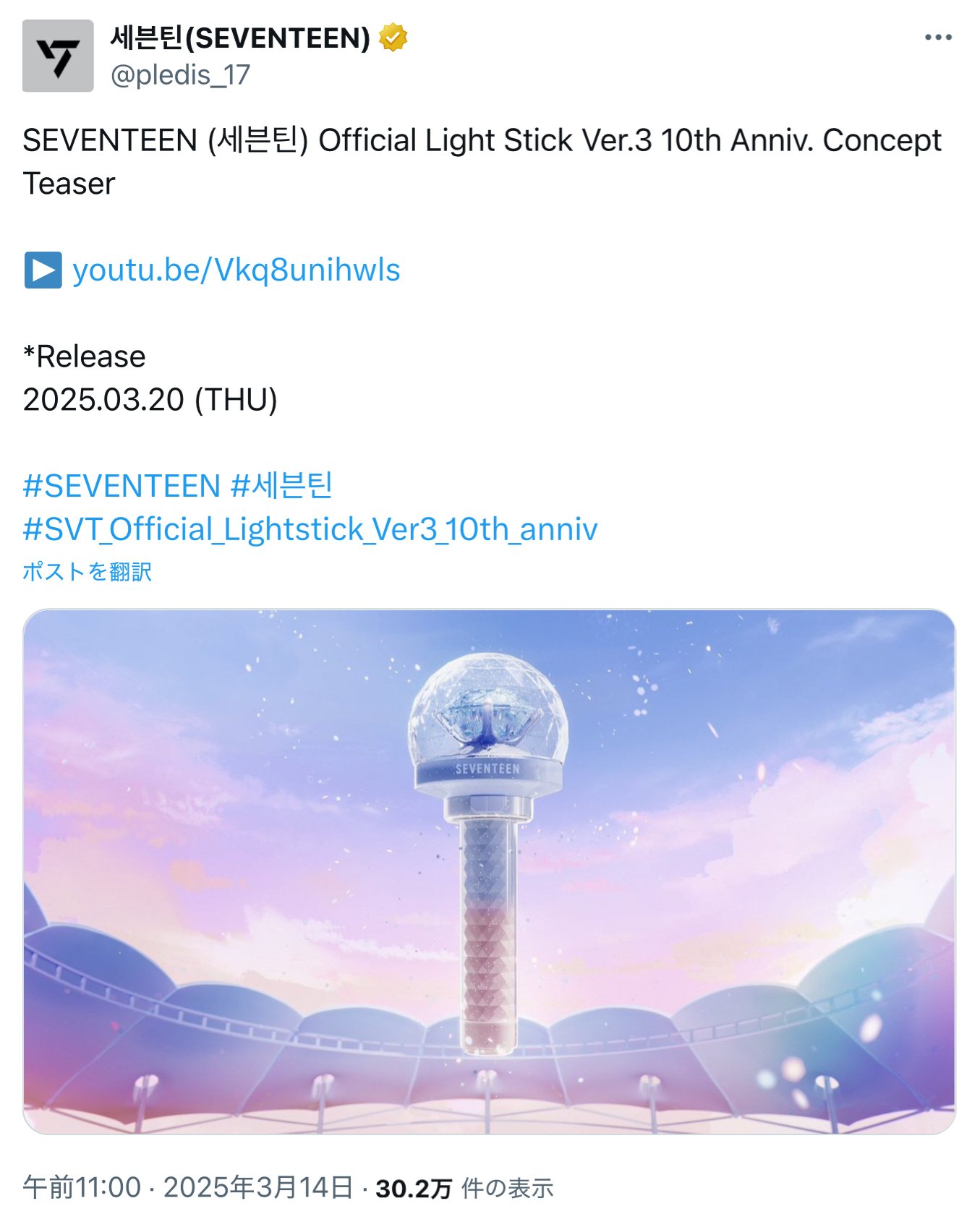 seventeen セブチ carat棒 カラット棒 10周年 ペンライト（新品