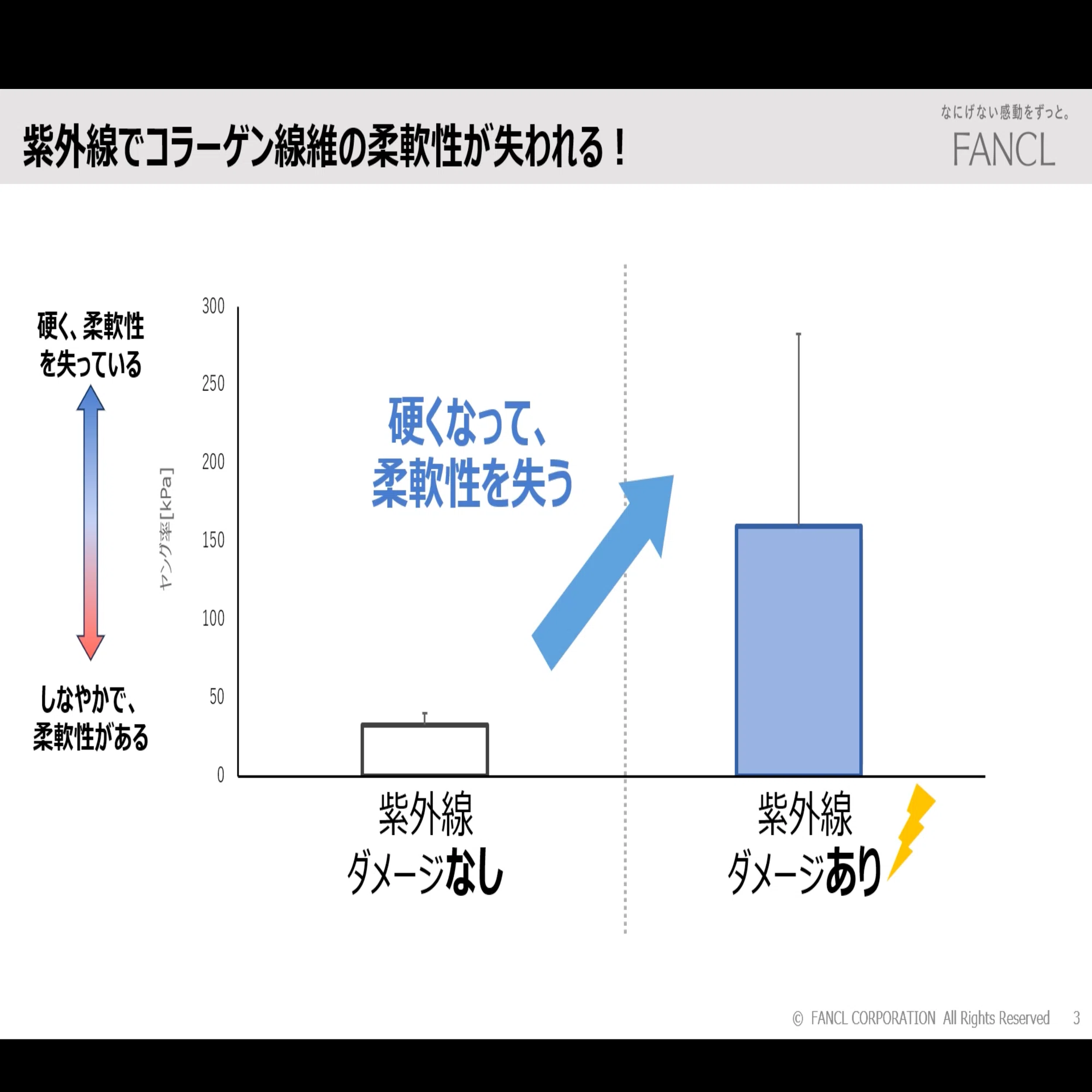 コラーゲン最新研究〜コラーゲン線維一本一本のナノ触診に挑む