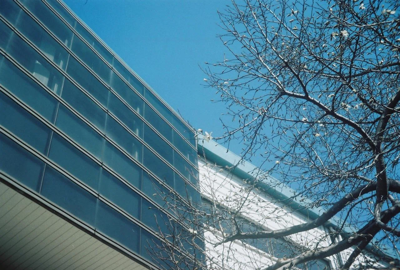 FUJICA COMPACT S」 に、新しいフィルムを装填｜yakatagirl