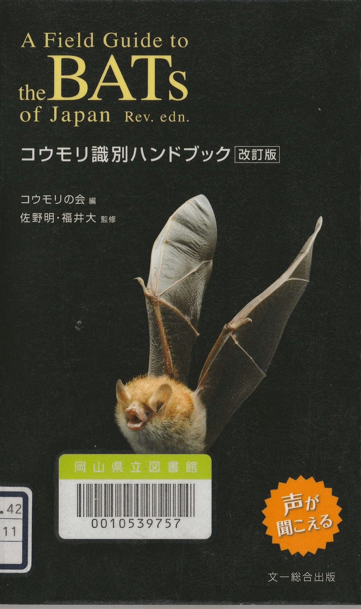 長沼鉱山跡洞窟に生息しているコウモリ（岡山市東区）｜丸谷 憲二