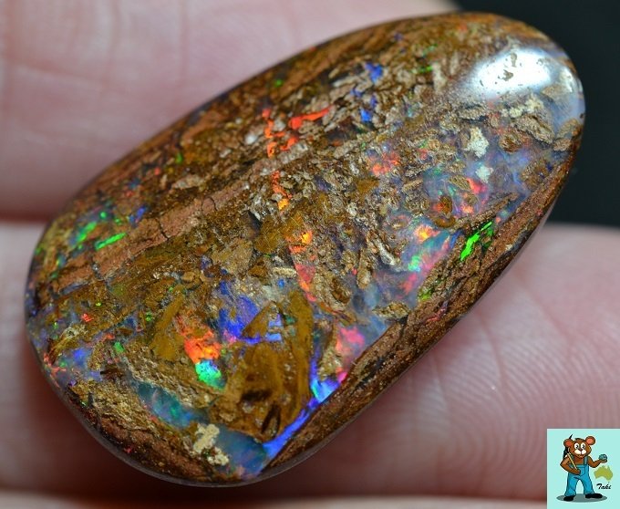 ボルダーオパール　ウッド 天然ボルダーオパール 12.93ct 【希少ウッド・美遊色】 コロイト産