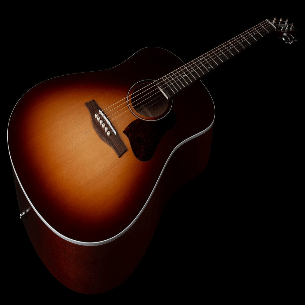 カナダの名門シーガルによる伝統的なドレッドノート「ENTOURAGE AUTUMN