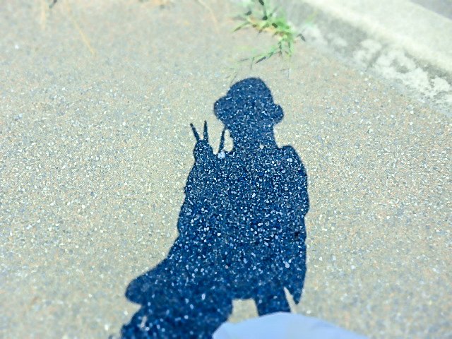 愛につつまれてZレンズ購入｜ほびマガ