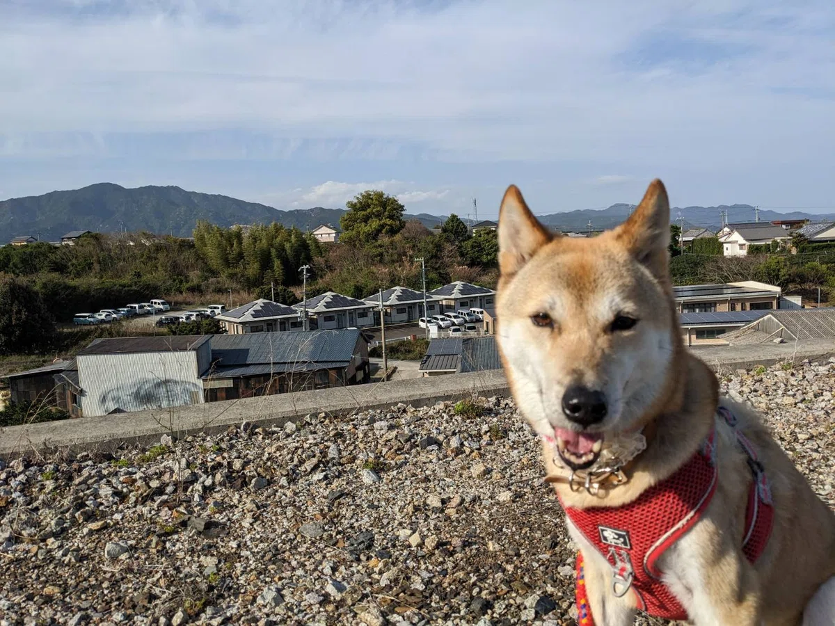 画像