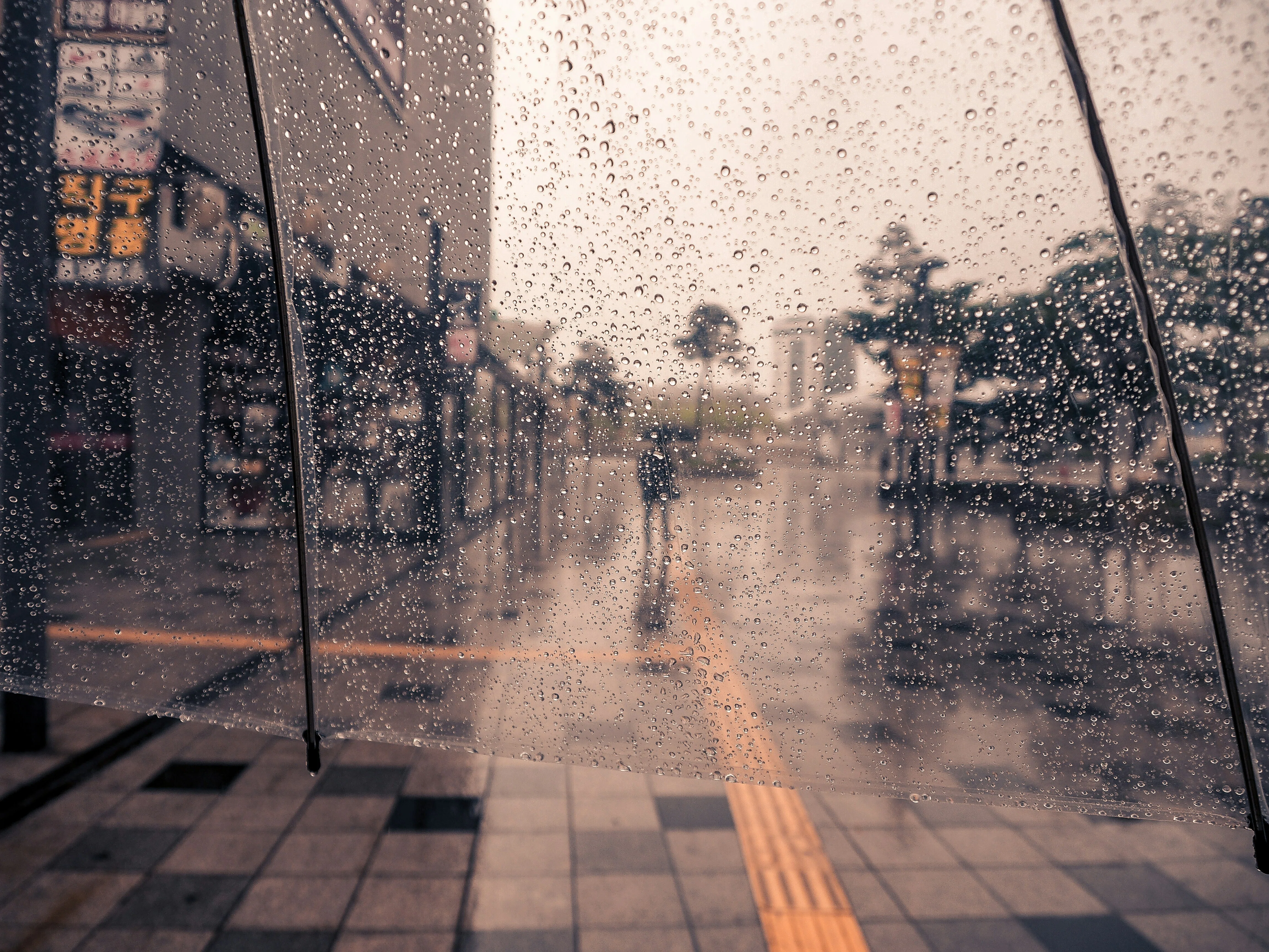 雨」の日の写真が素敵に見える理由｜近藤薫の「なんか話そう」